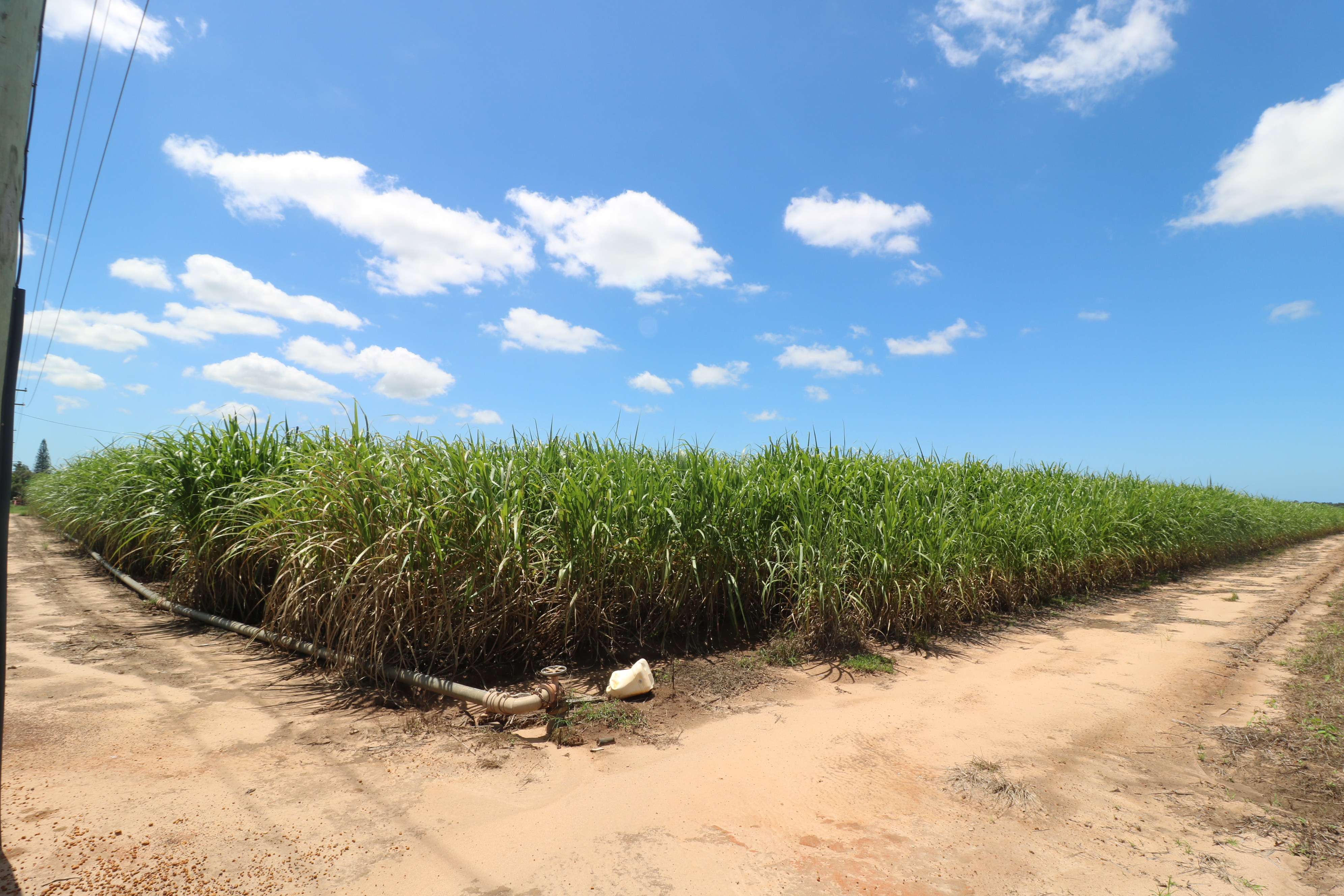 4448 GOODWOOD RD, ALLOWAY, 4670