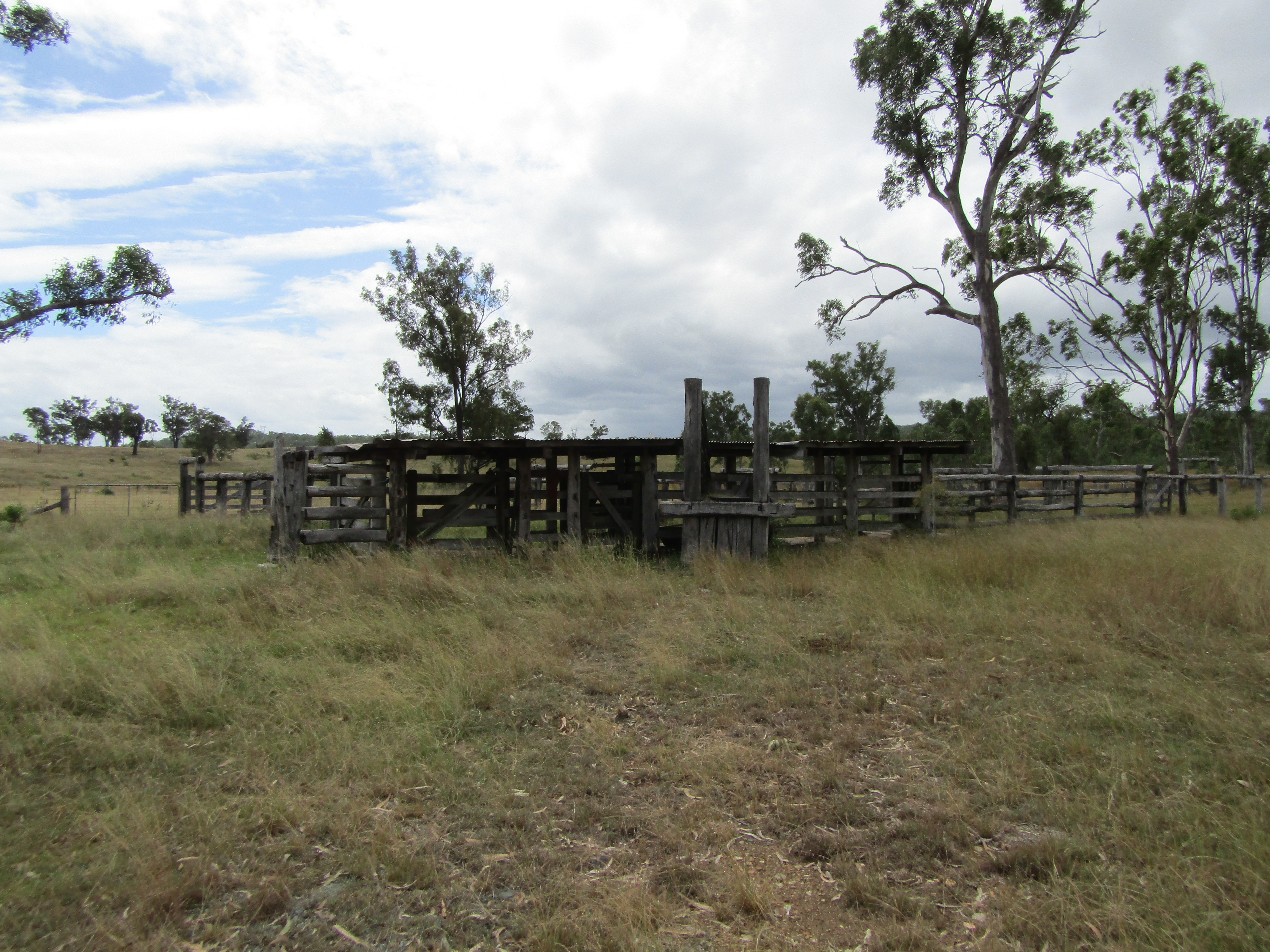 LOT 156 GRILLS RD, DALLARNIL, 4621