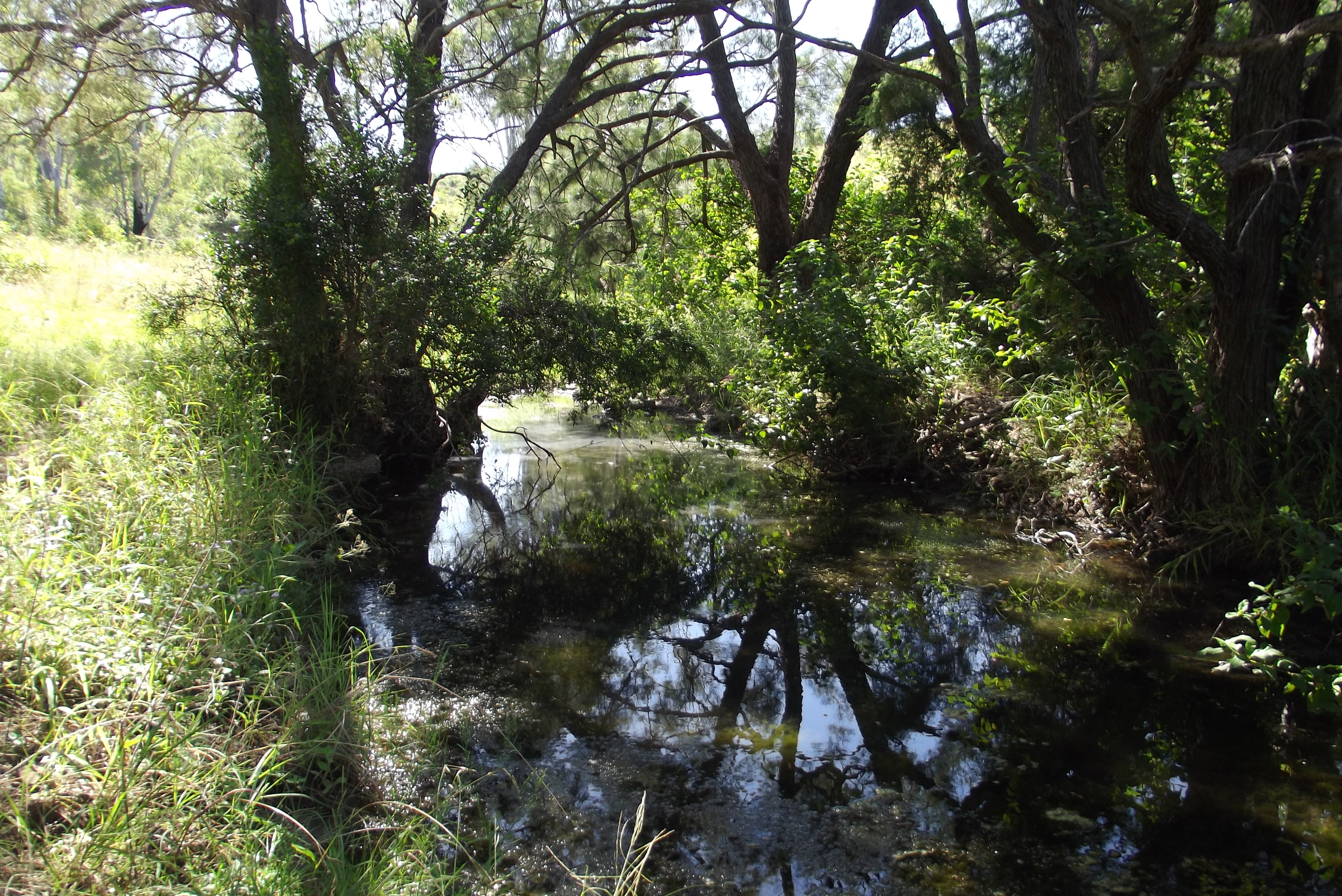 LOT 99 WILSONS PITT RD, DALLARNIL, 4621