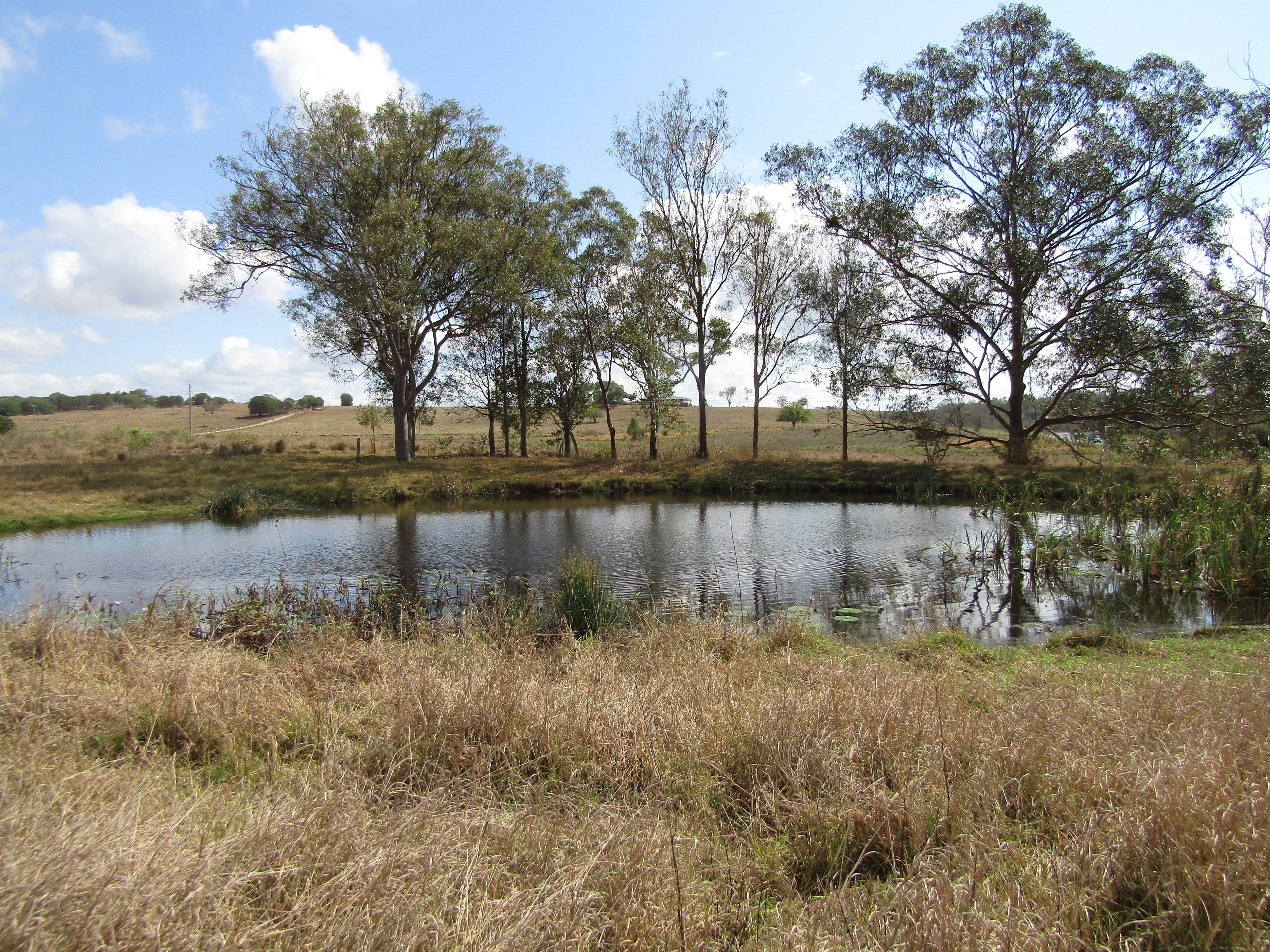 139 NORTH ISIS RD, NORTH ISIS, 4660