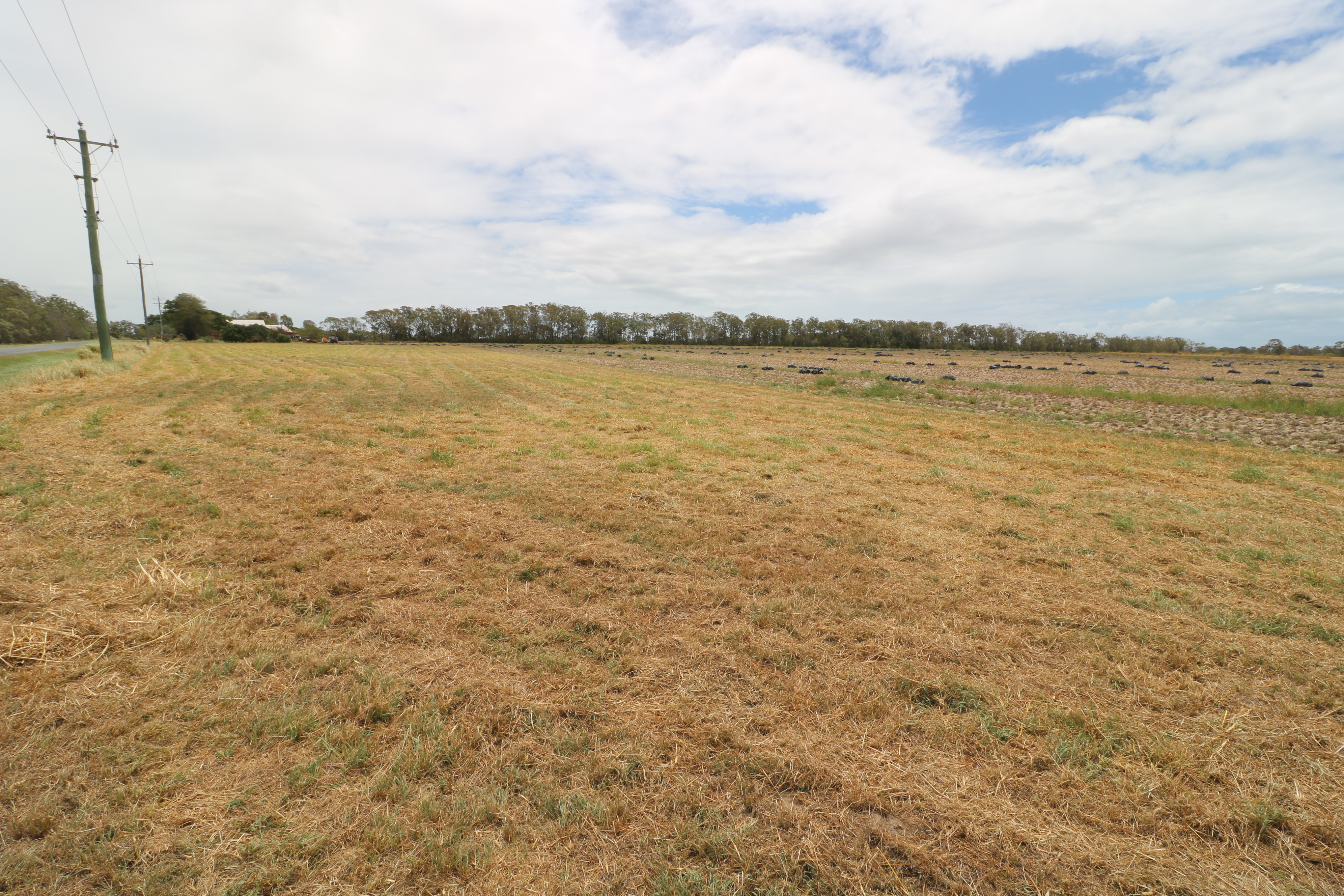 LOT 3 DR MAYS CROSSING RD, CALAVOS, 4670