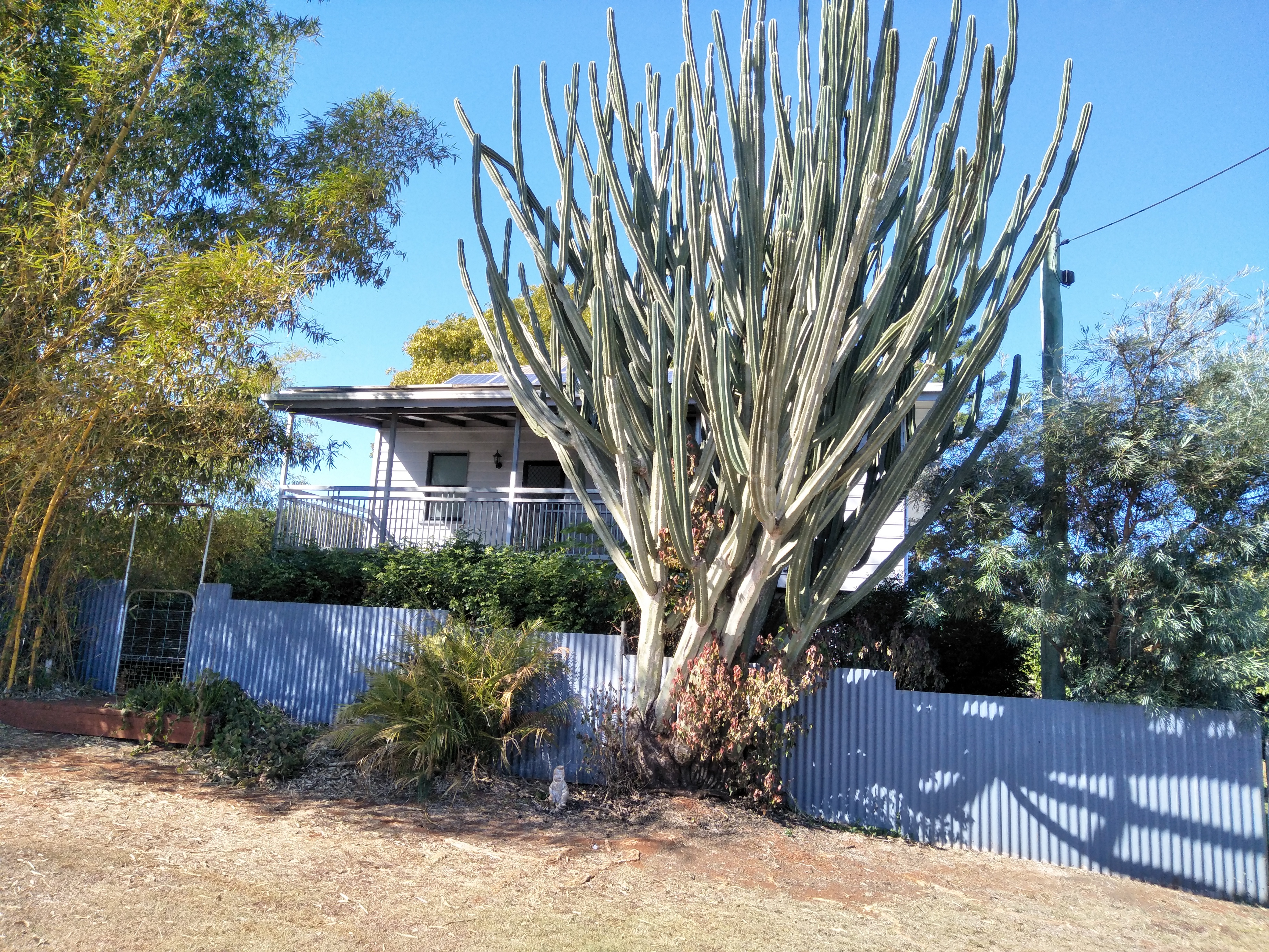 4 PITT ST, CORDALBA, 4660