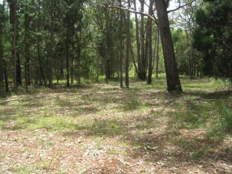 6 MEADSTONE, RUSSELL ISLAND, 4184