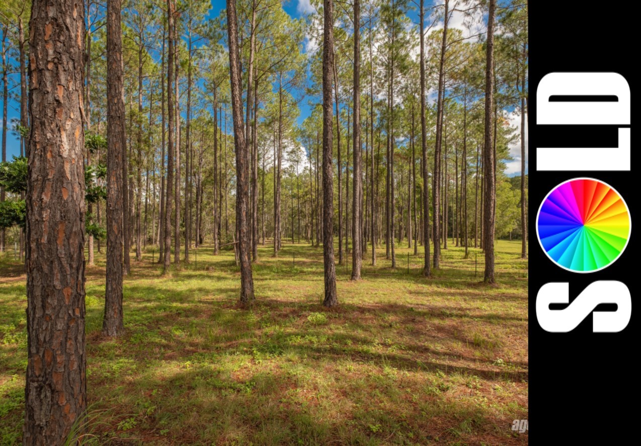 LOT 515 ARBORCRESCENT RD, GLENWOOD, 4570