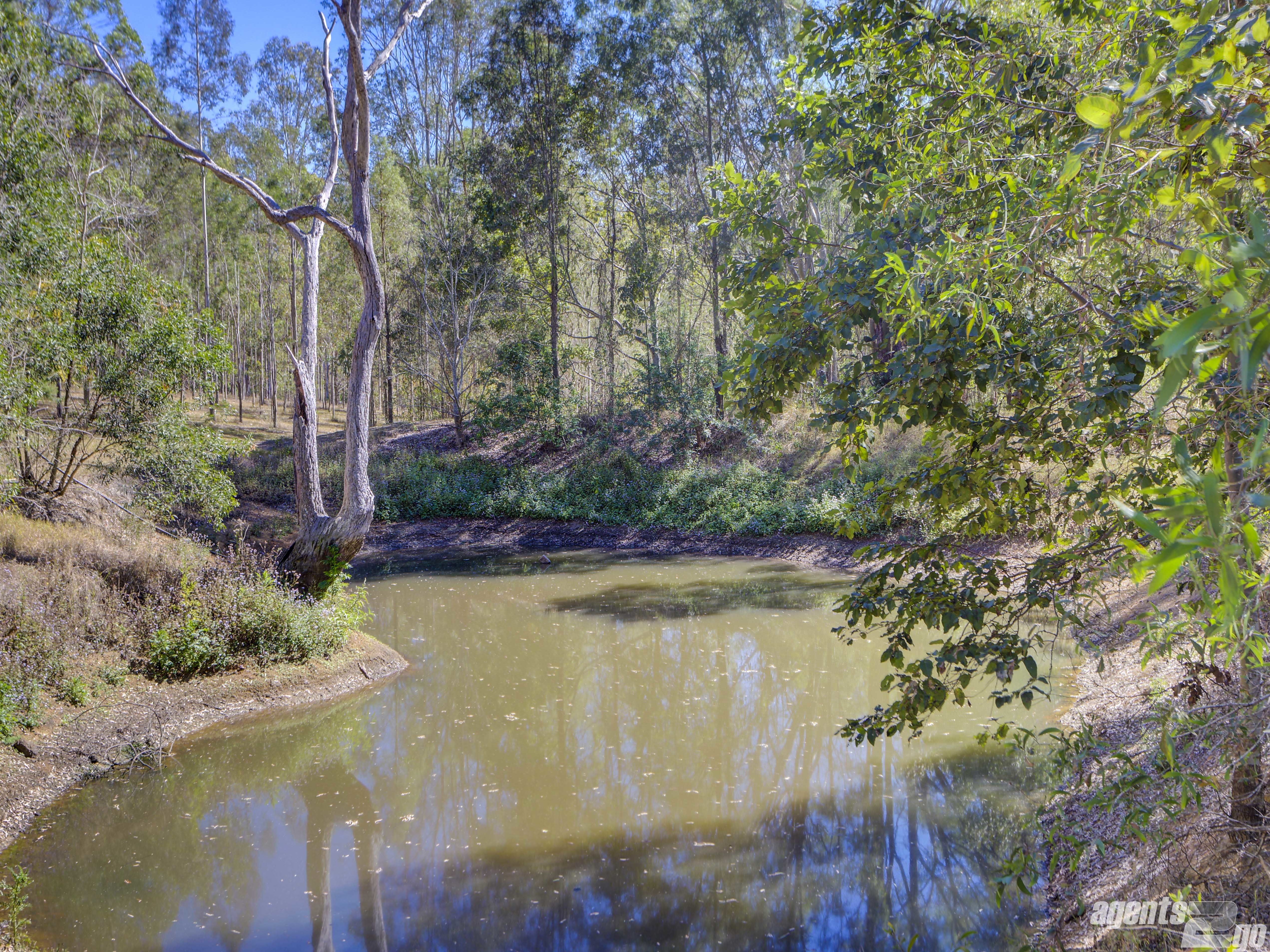 307 EEL CREEK RD, PIE CREEK, 4570