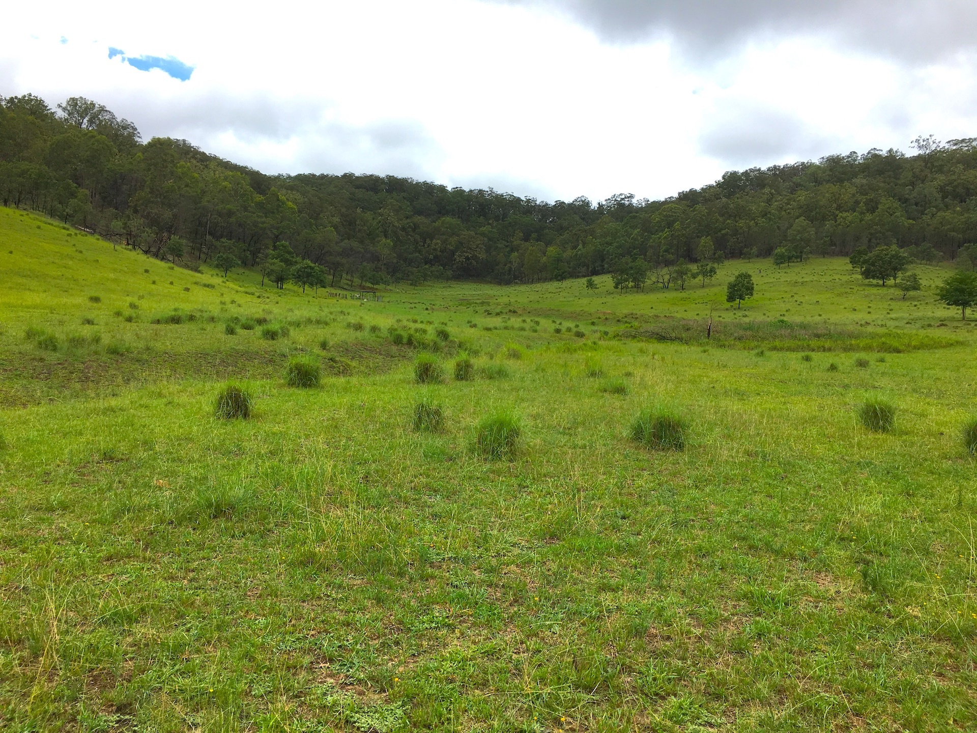 LOT 102 PUTTY ROAD, HOWES VALLEY, 2330