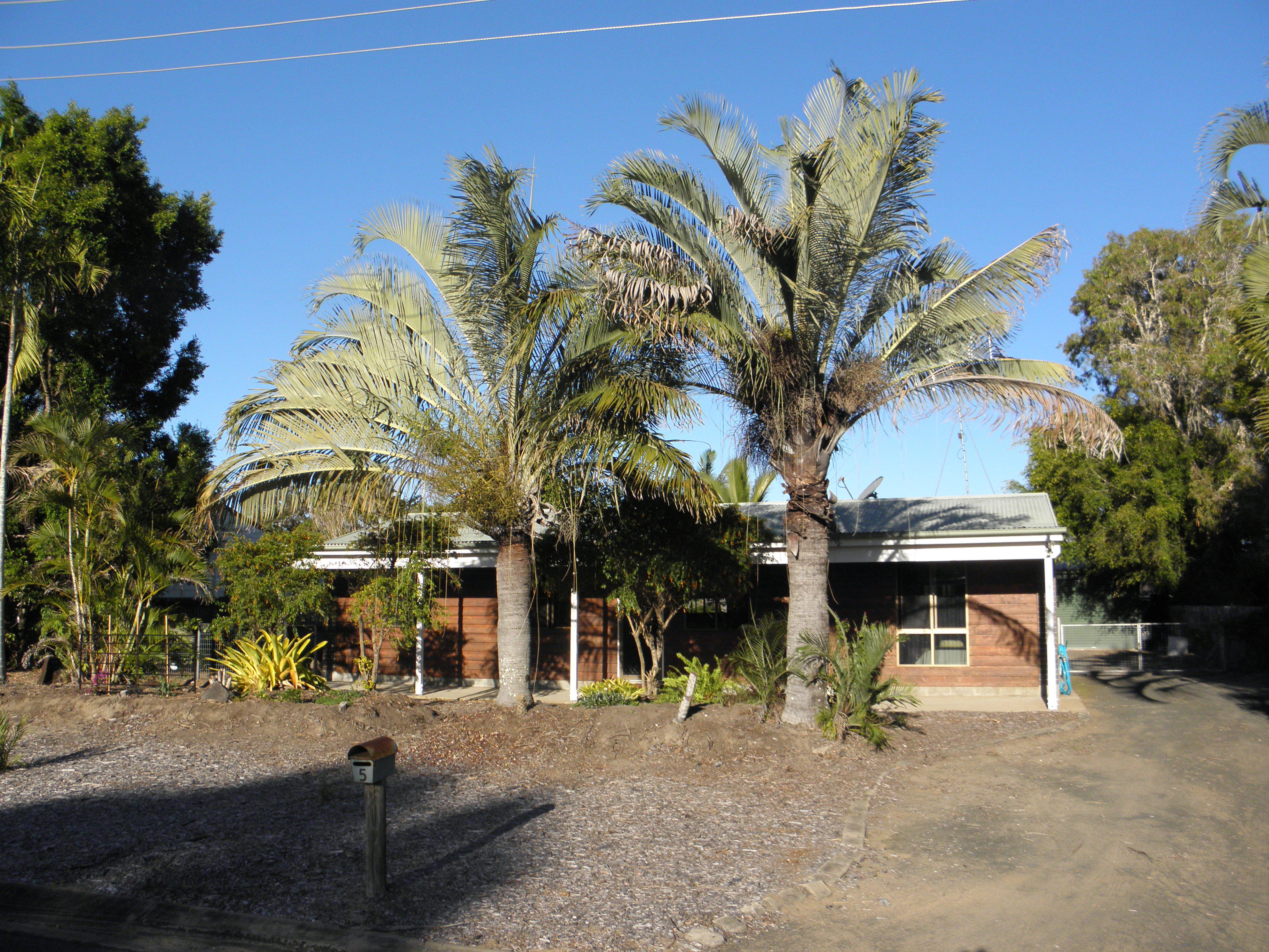 5 OLIVE DRIVE, MOORE PARK BEACH, 4670