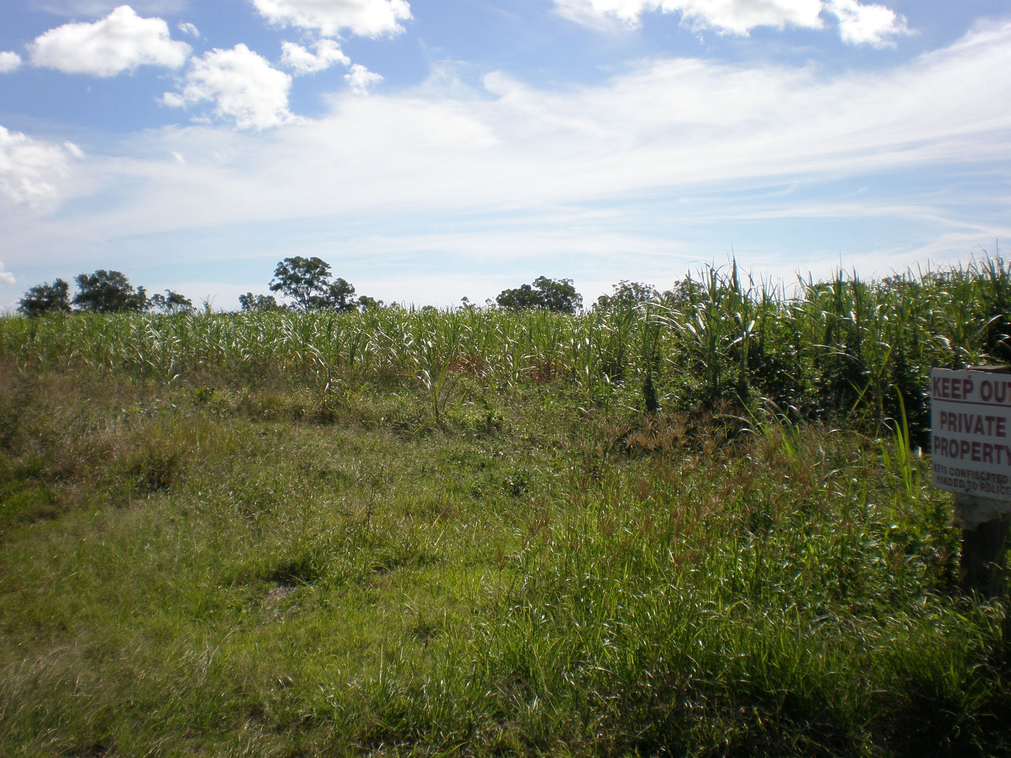 LOT 5 BAILLIES ROAD, MOORE PARK BEACH, 4670