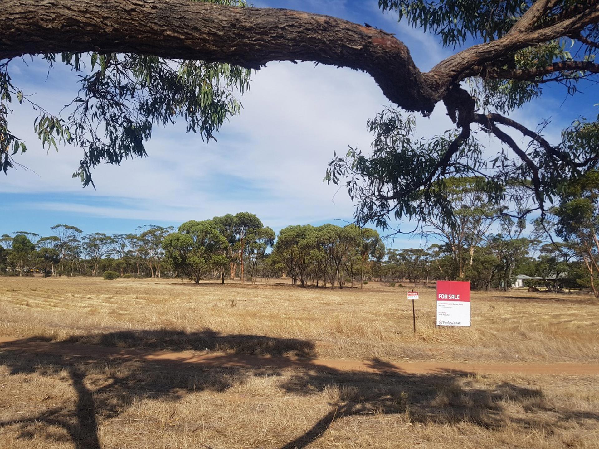 65 DRUMMOND STREET, MOORA, 6510