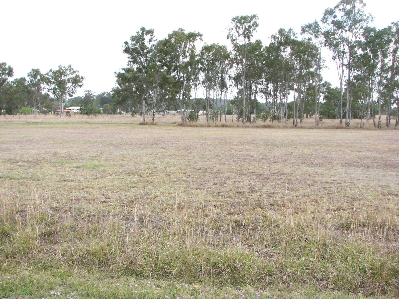 LOT 2 AMAROO DRIVE, WONDAI, 4606