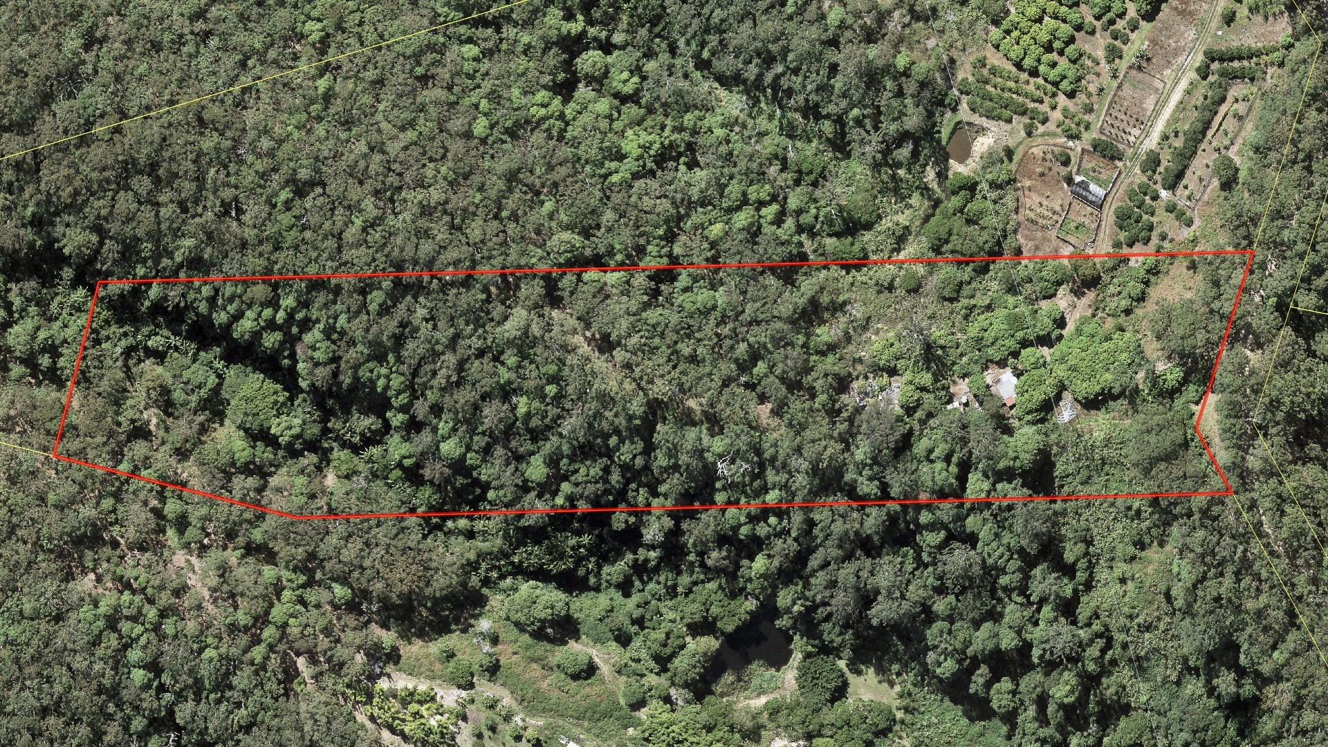 288 MOSSYBANK RD, EUDLO, 4554 288 MOSSYBANK RD, EUDLO, 4554