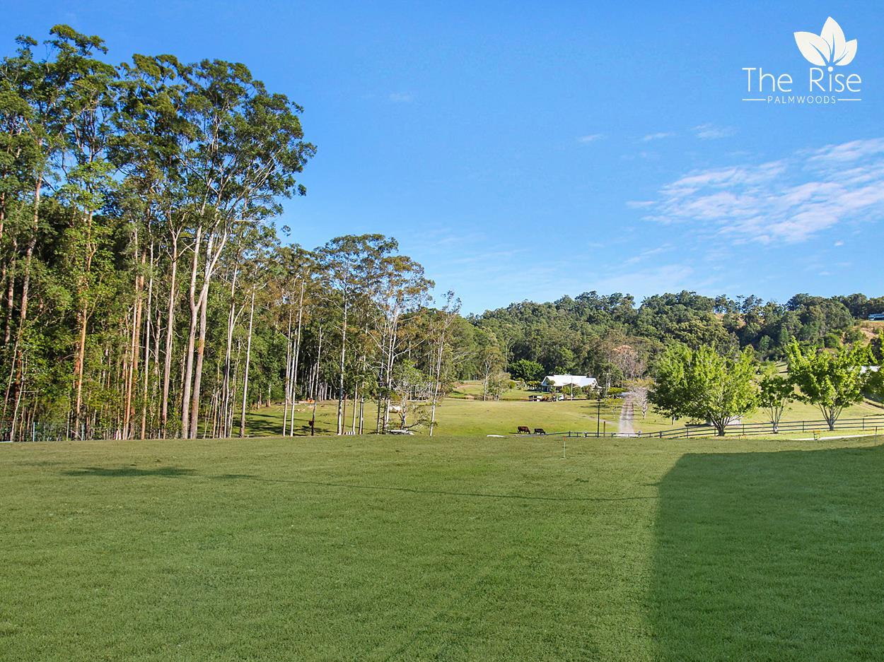 105 RIFLE RANGE RD, PALMWOODS, 4555