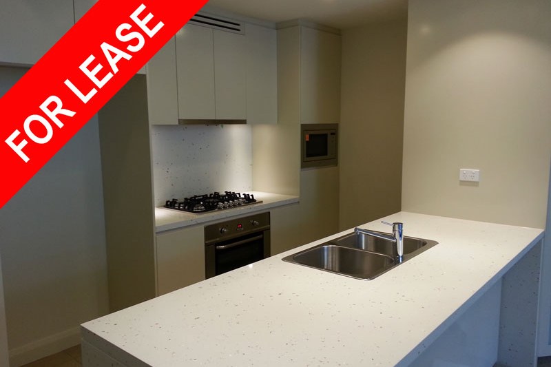 302/2 TIMBROL AVENUE, RHODES, 2138