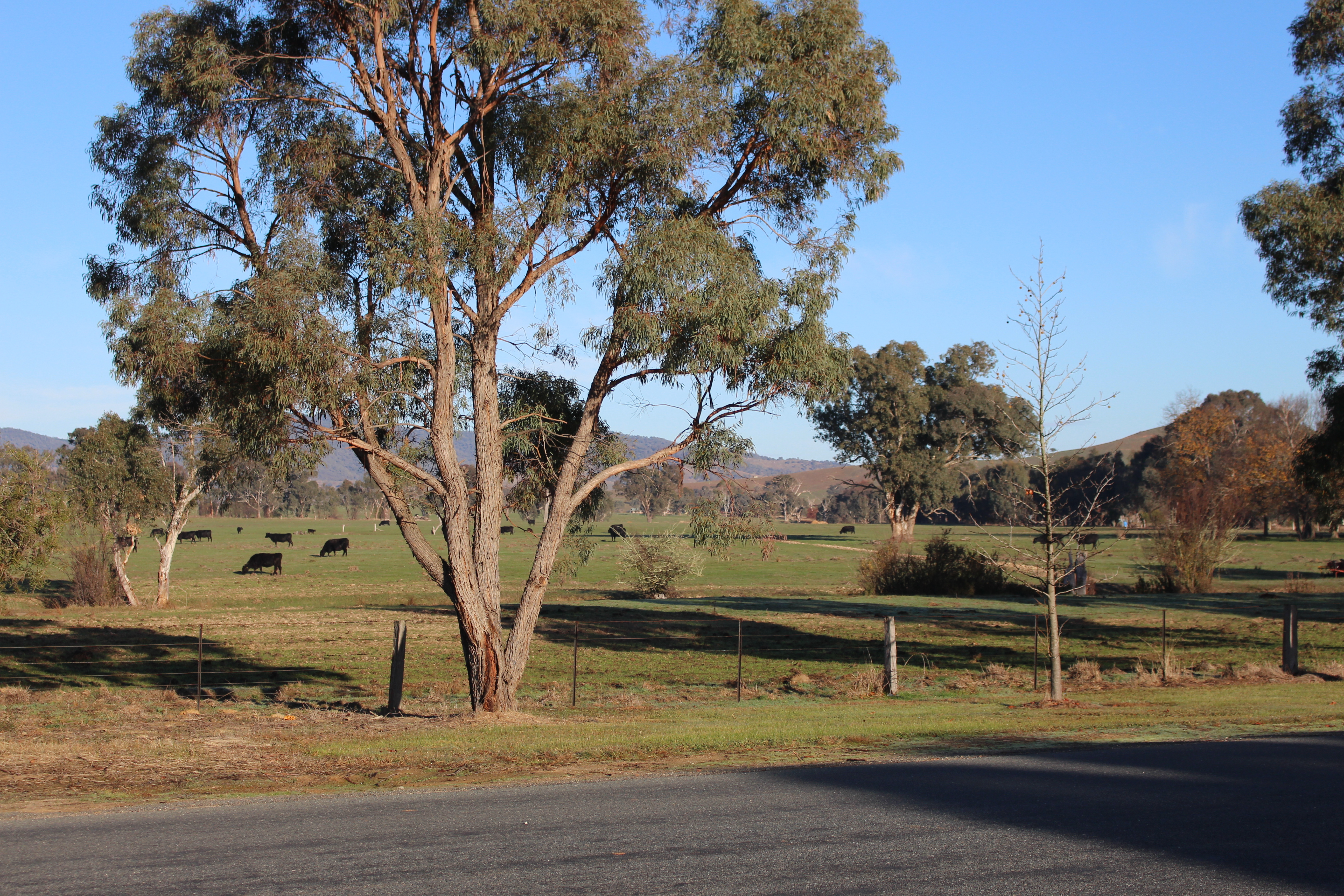 5 SUGARLOAF RD, CORRYONG, 3707