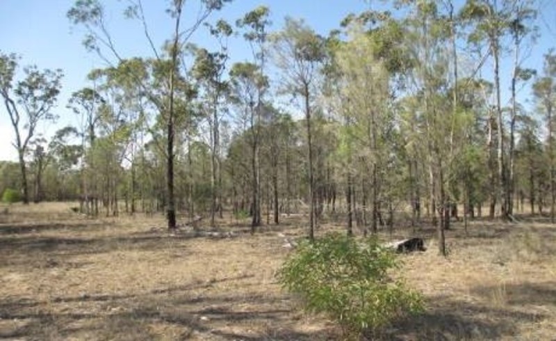 555 WERANGA ROAD NORTH, WERANGA, 4405