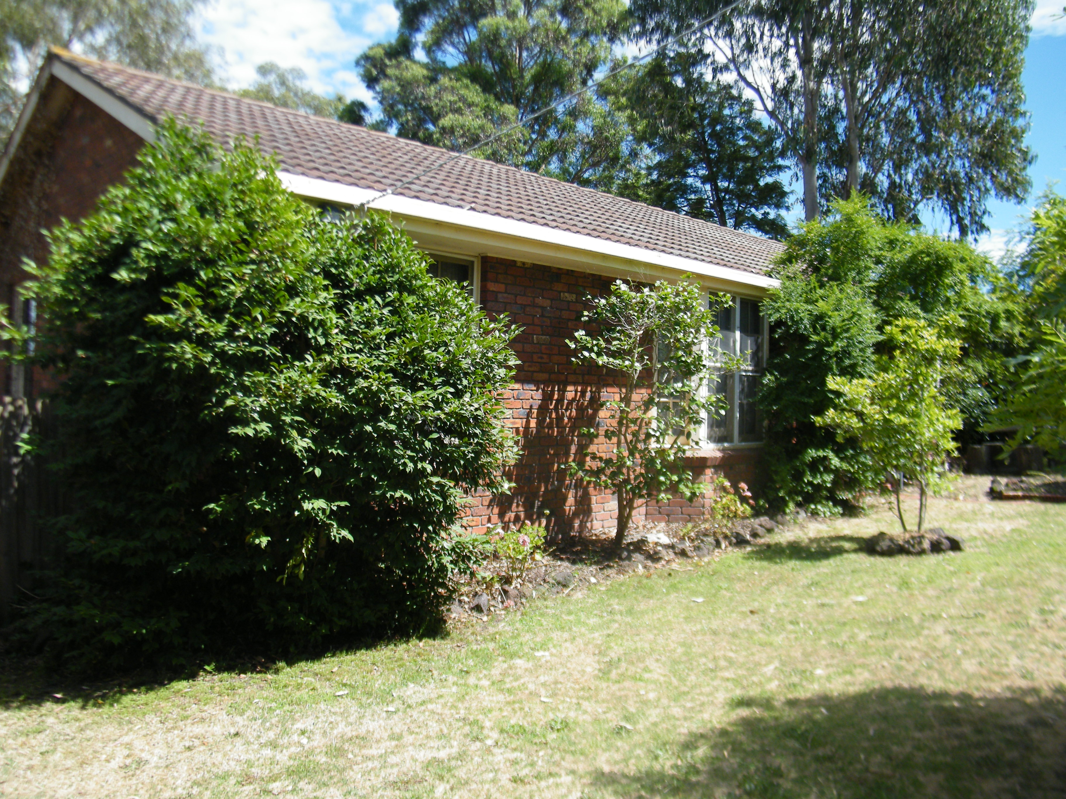 11 PEARSON STREET, BUNYIP, 3815
