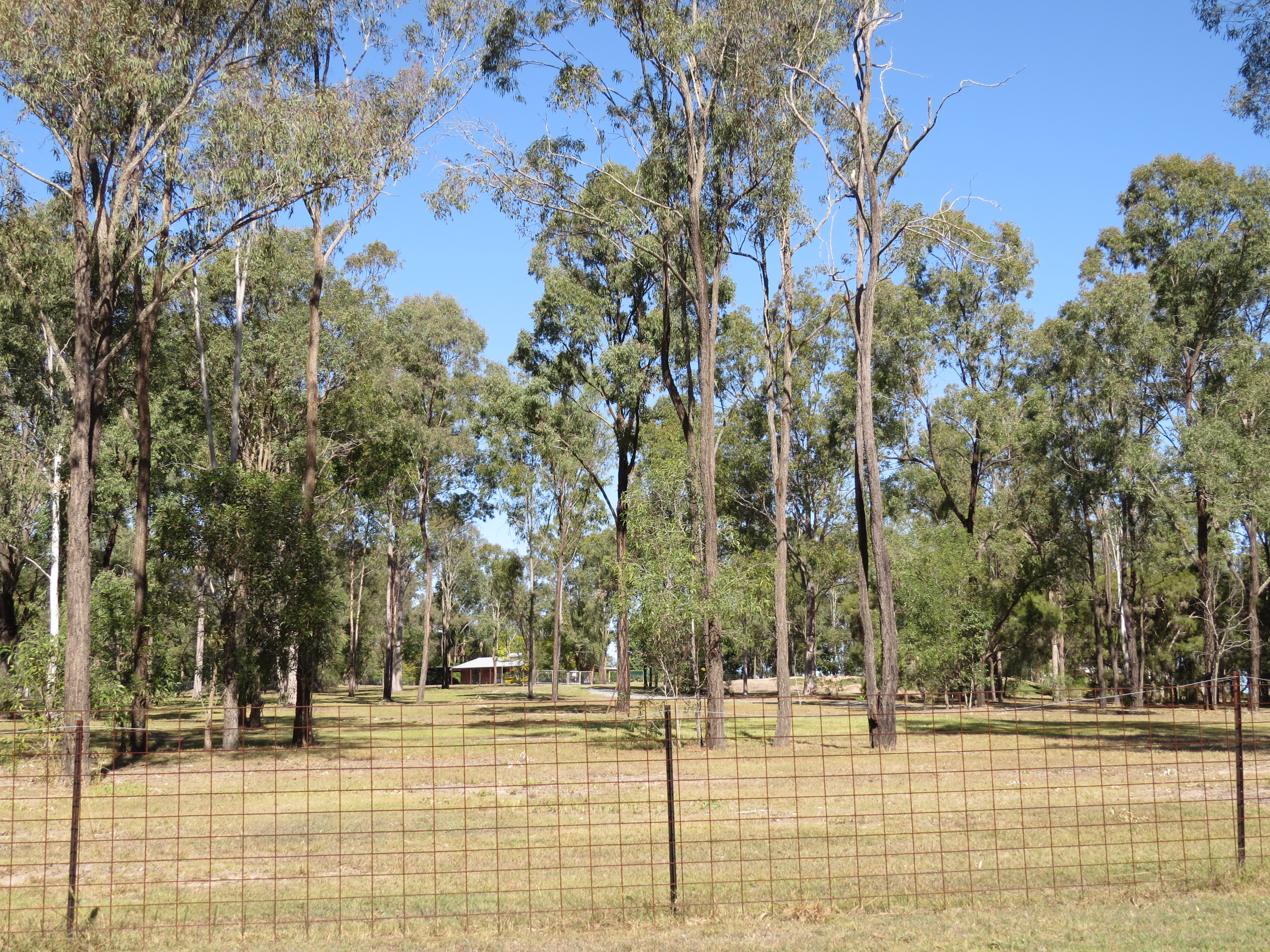 61-69 JARRAH ROAD, JIMBOOMBA, 4280