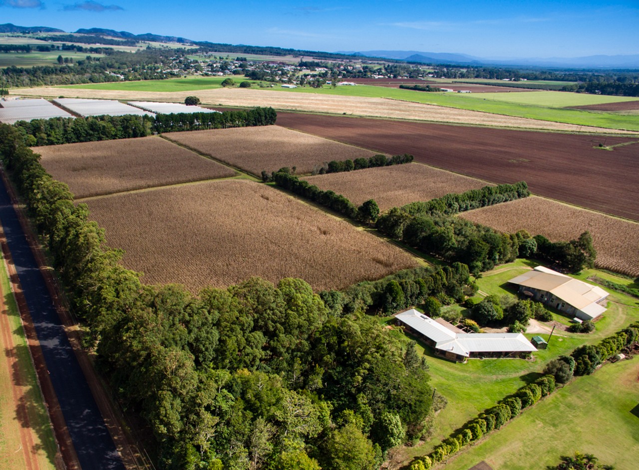 119 BEANTREE ROAD, TOLGA, 4882