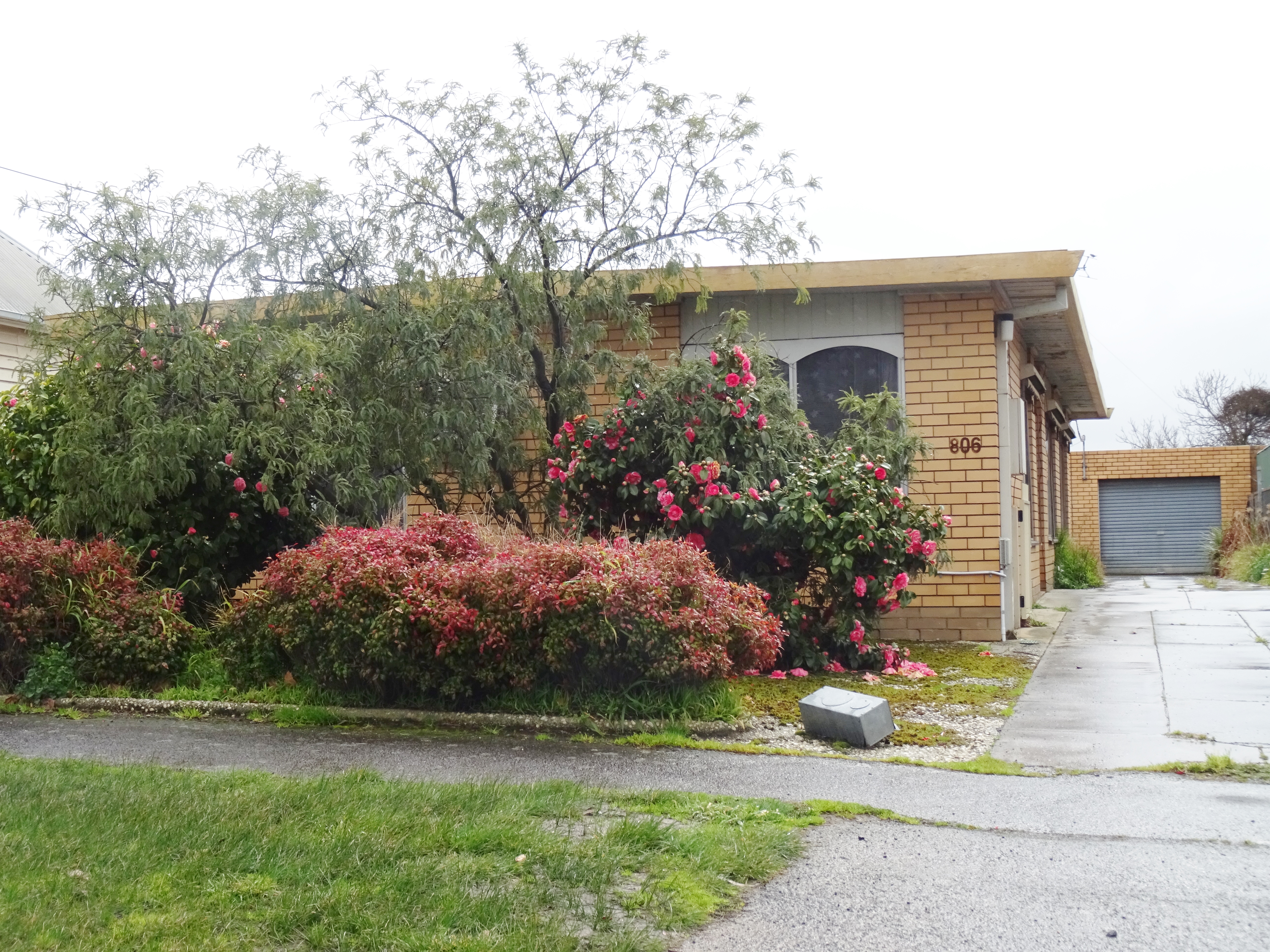 806 MACARTHUR STREET, BALLARAT CENTRAL, 3350