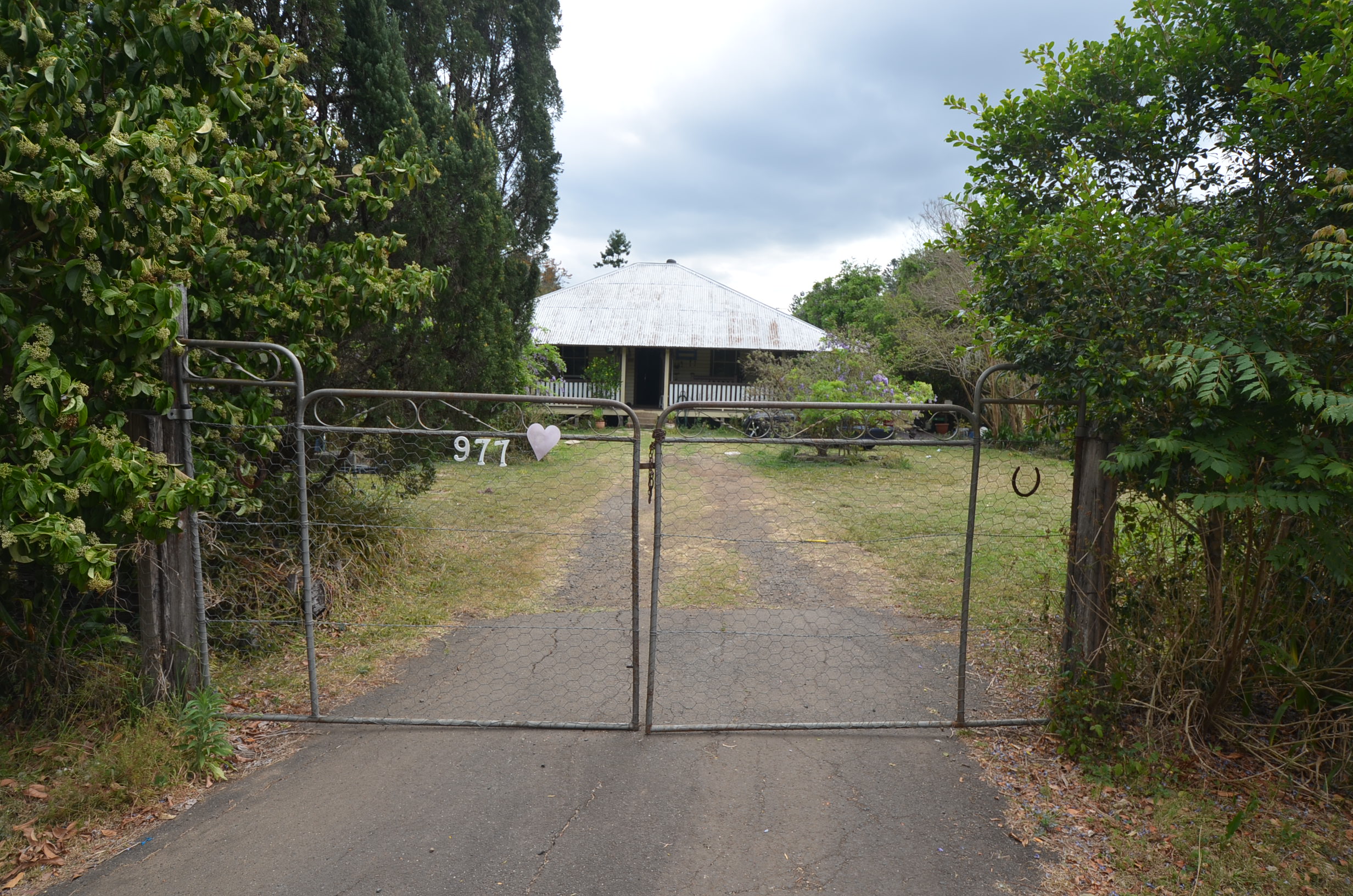 977 JIGGI ROAD, JIGGI, 2480