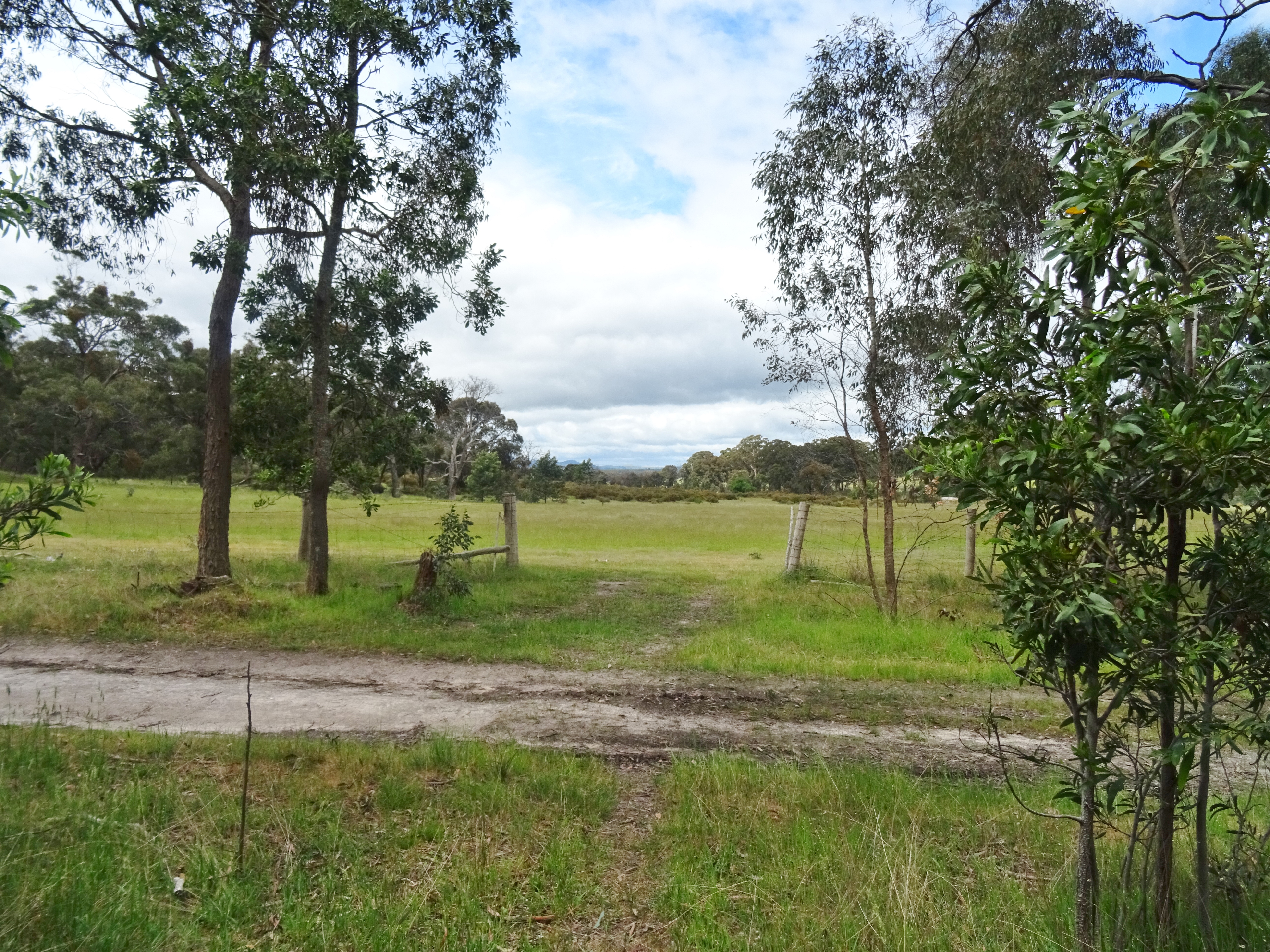  RUTHERFORDS LANE, BEAUFORT, 3373