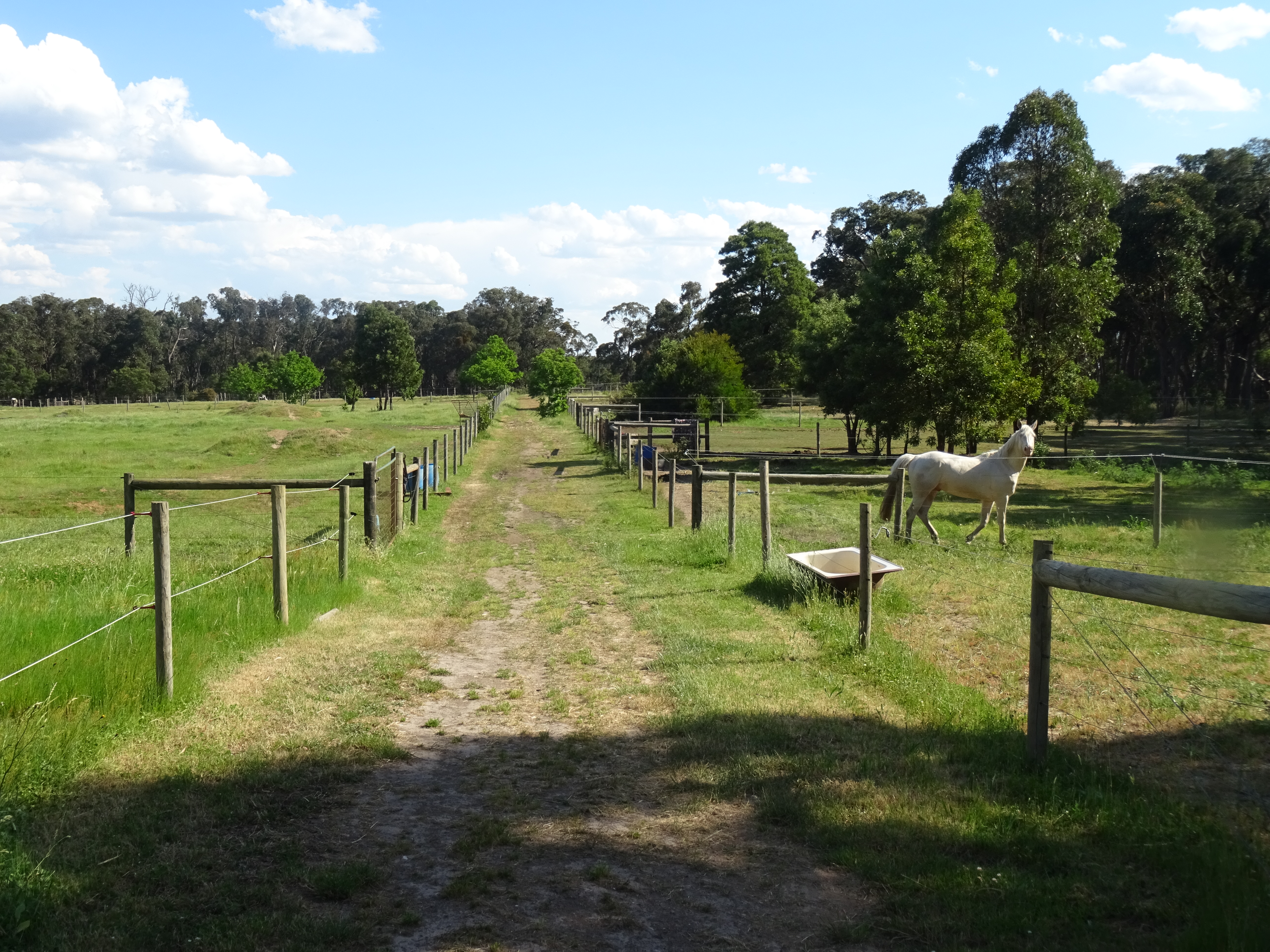 40 JUNIPERS ROAD, SMYTHESDALE, 3351