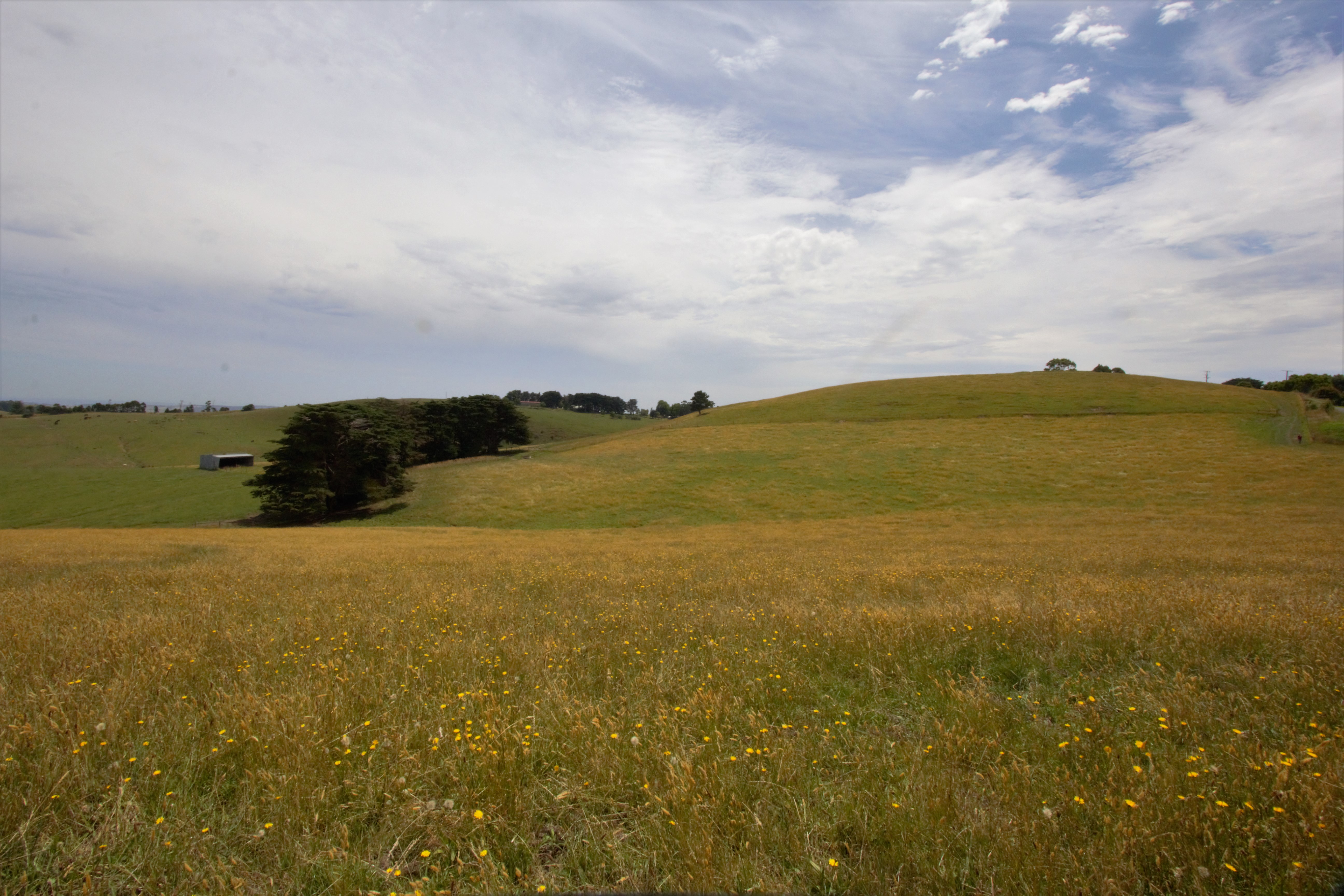  SHEEPWAYS ROAD, KROWERA, 3945