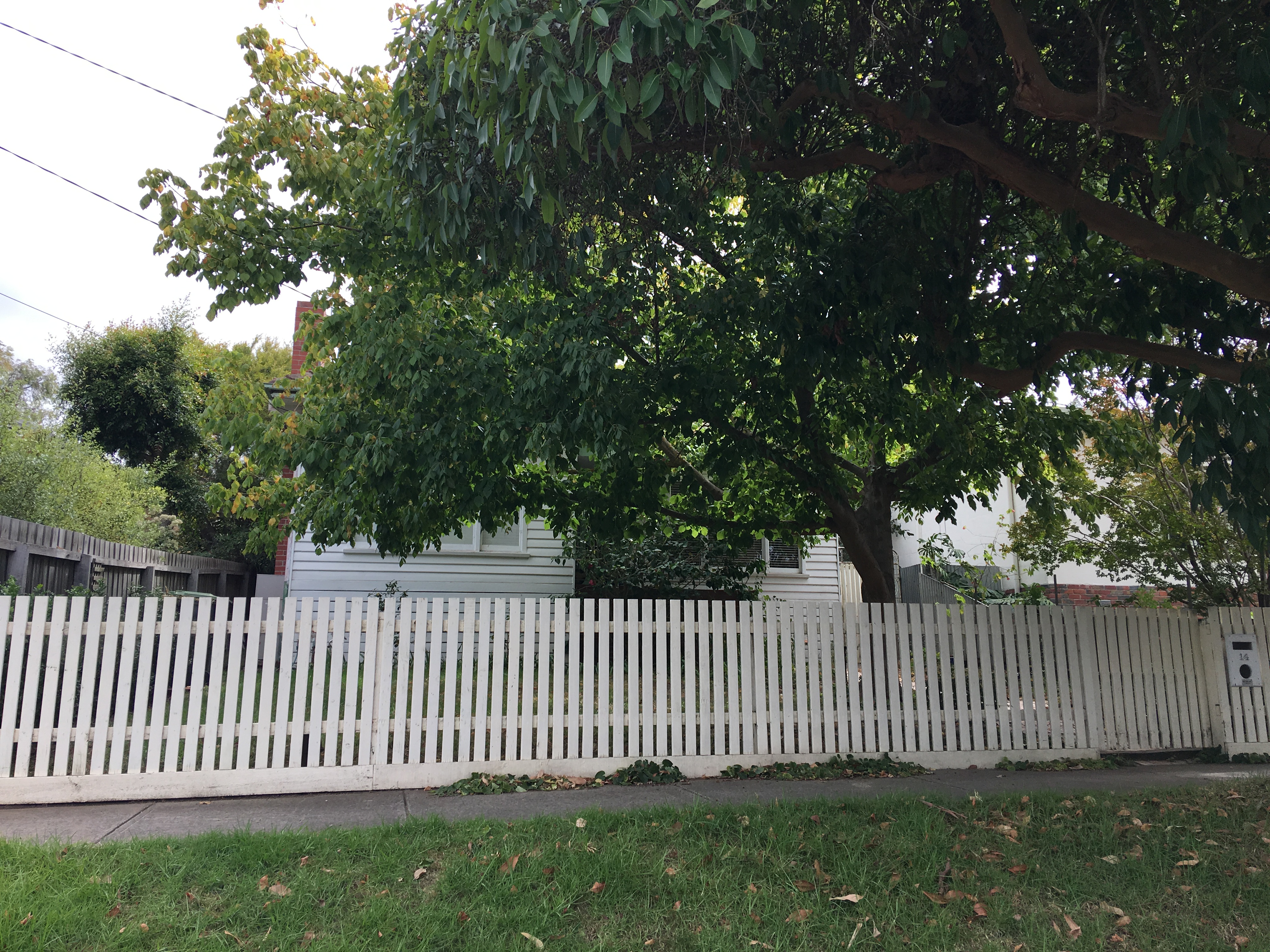 14 SEAVIEW PARADE, BELMONT, 3216