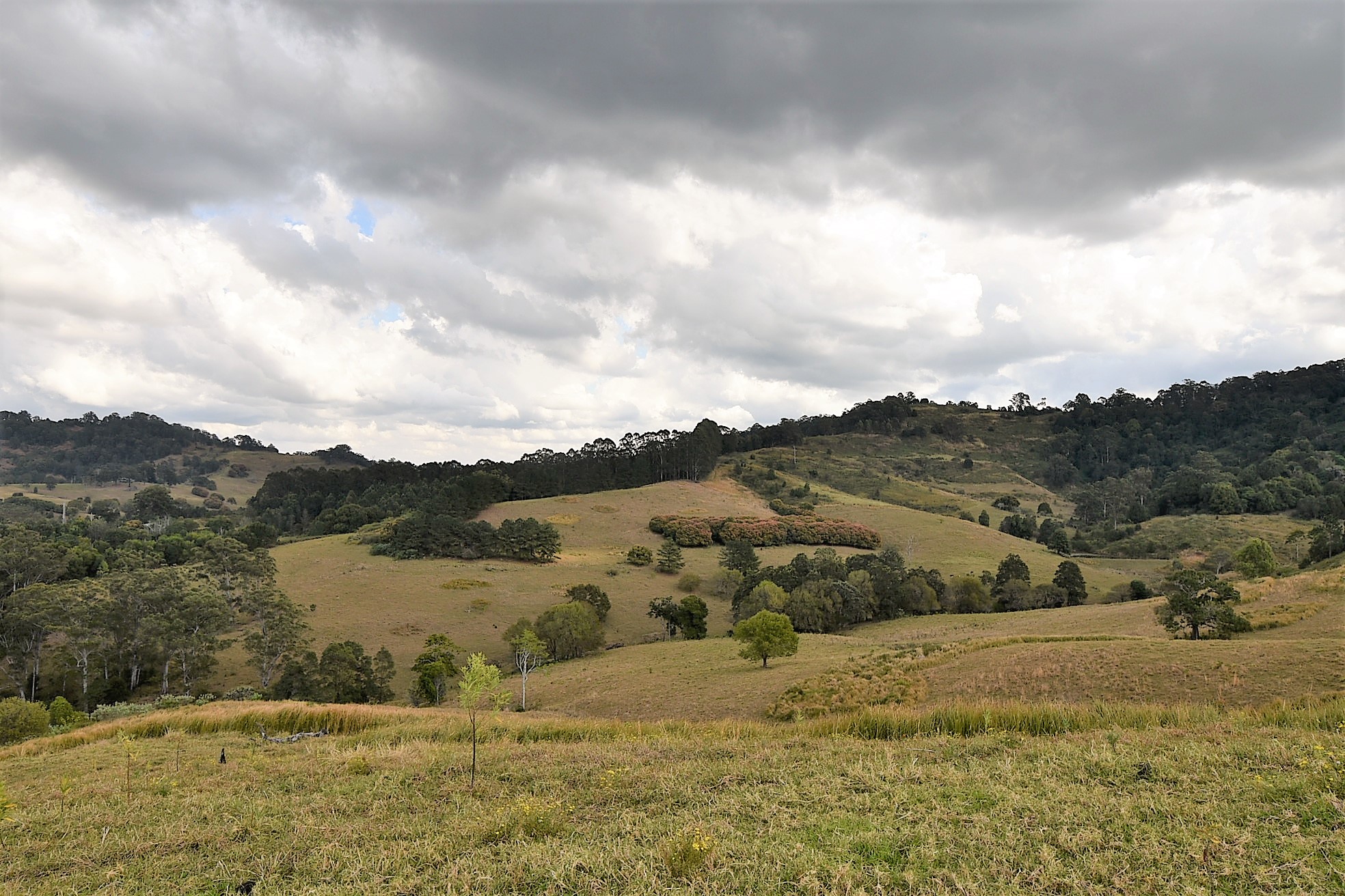 537 TUNTABLE CREEK ROAD, TUNTABLE CREEK, 2480