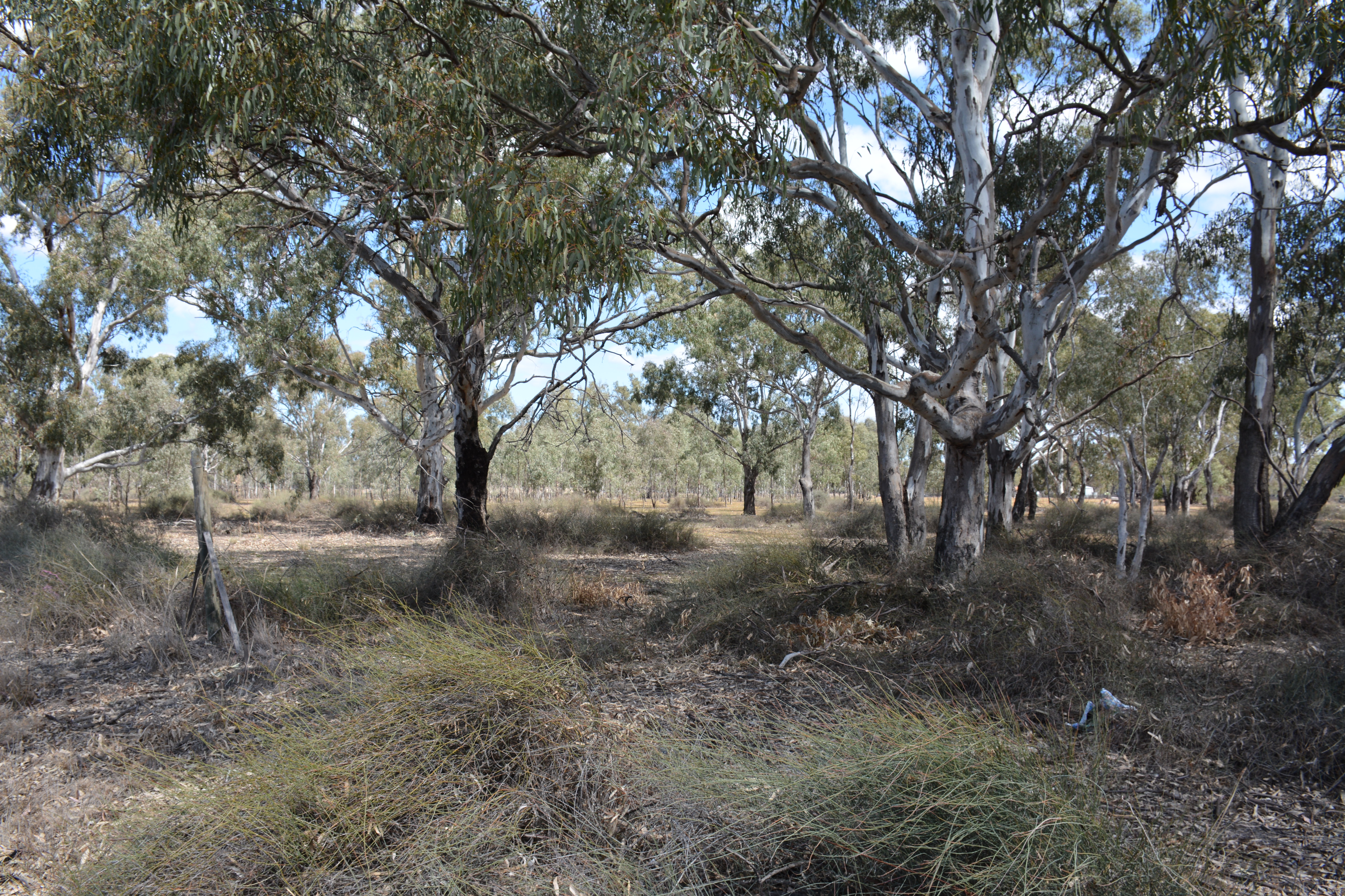 1375 WALSHS BRIDGE SOUTH ROAD, WAAIA, 3637