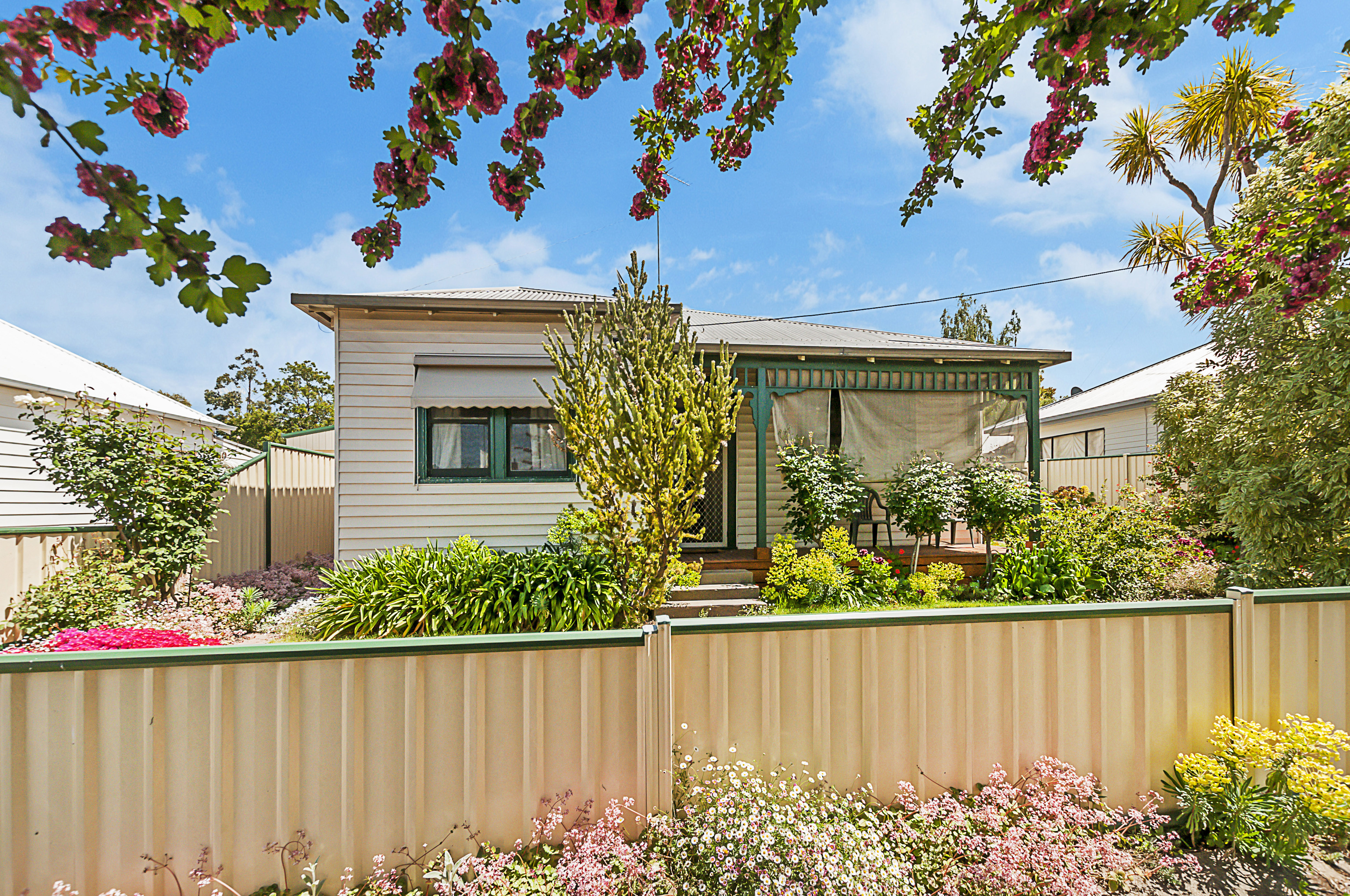 21 CLARENCE STREET, HAMILTON, 3300