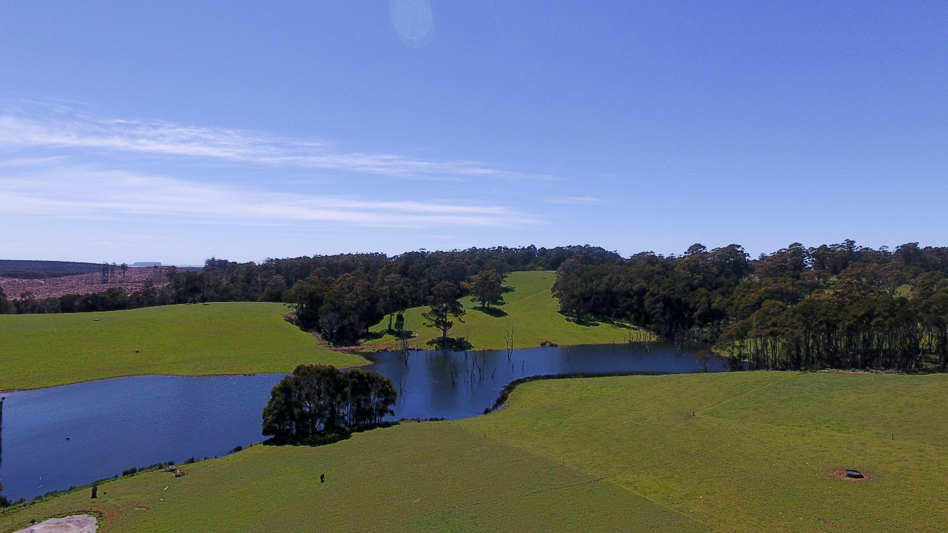 1199 MAWBANNA ROAD, MAWBANNA, 7321