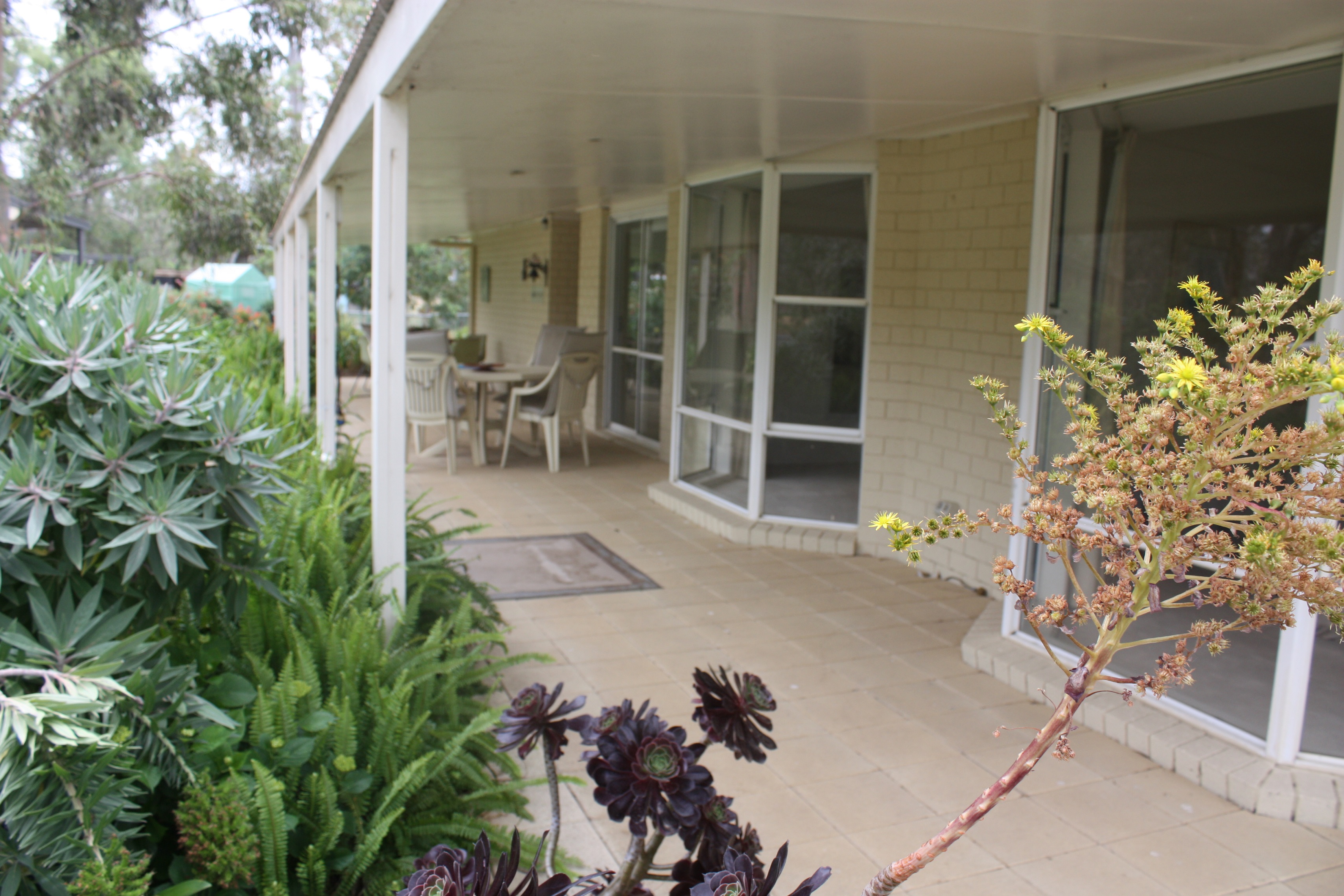 19 LILY STREET, VIOLET TOWN, 3669