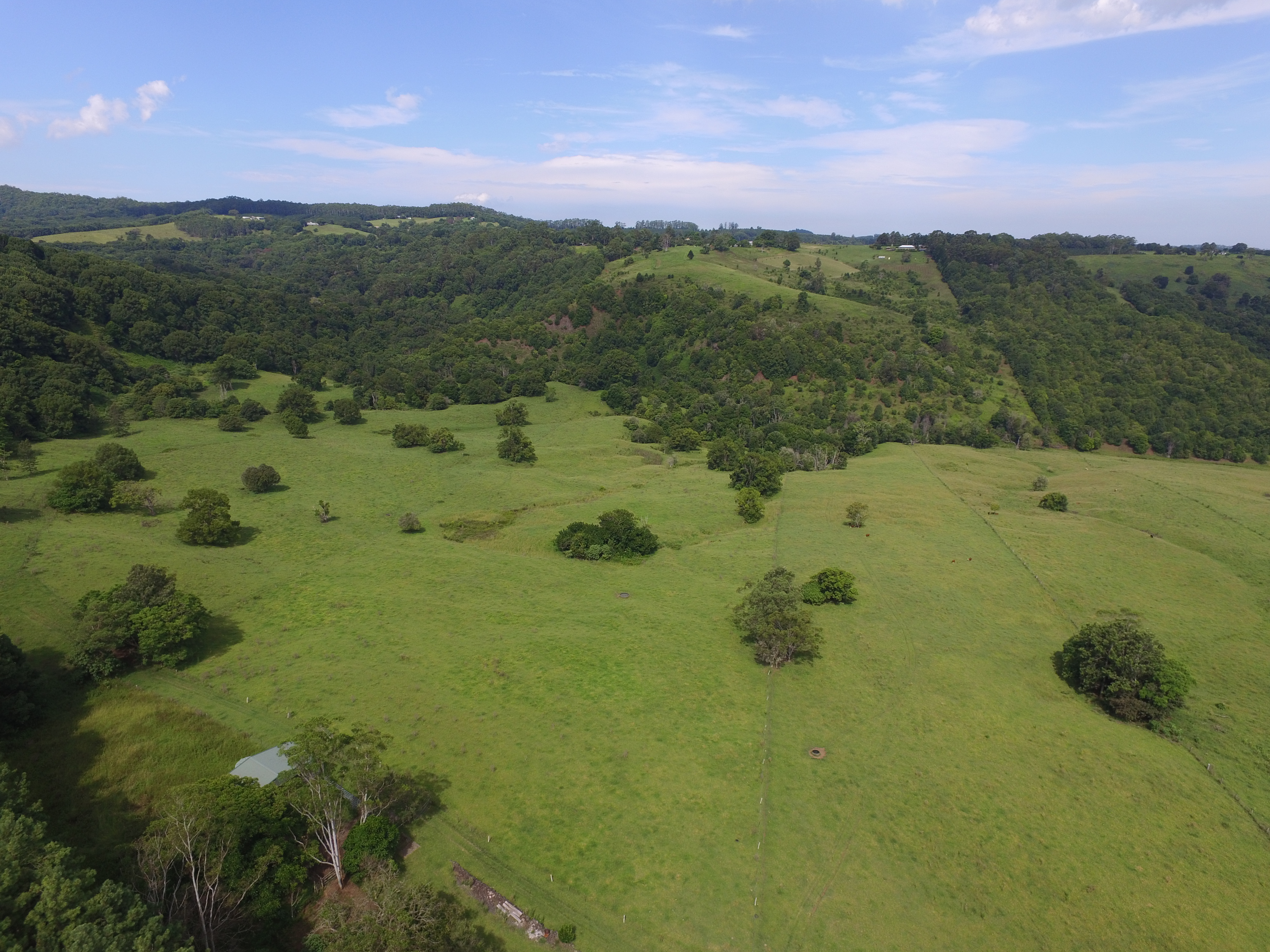 482 TERANIA CREEK ROAD, THE CHANNON, 2480