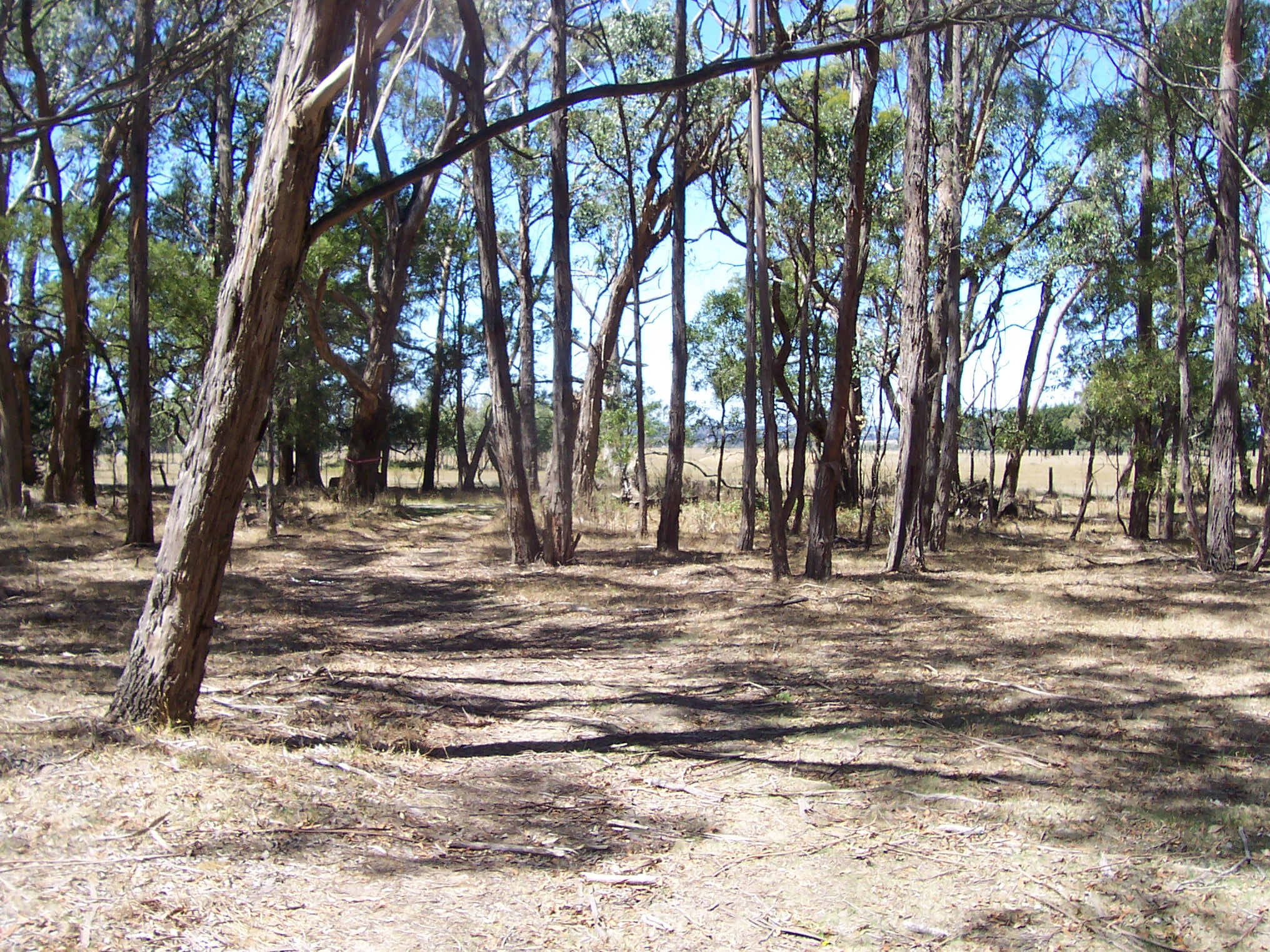  CALWAYS AND MOORABOOL WEST ROAD, GORDON, 3345