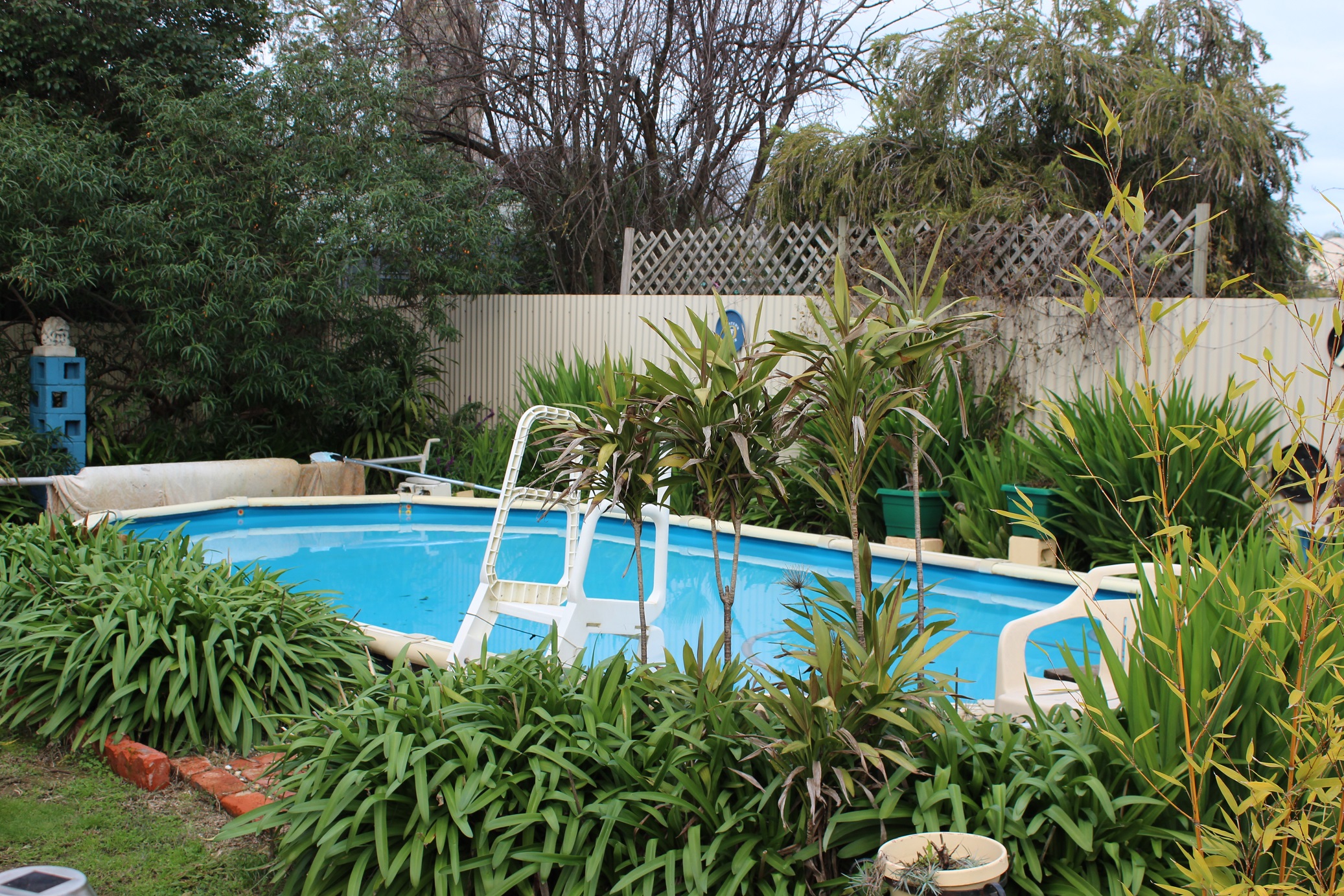 7 SWANLEA AVENUE, BENALLA, 3672