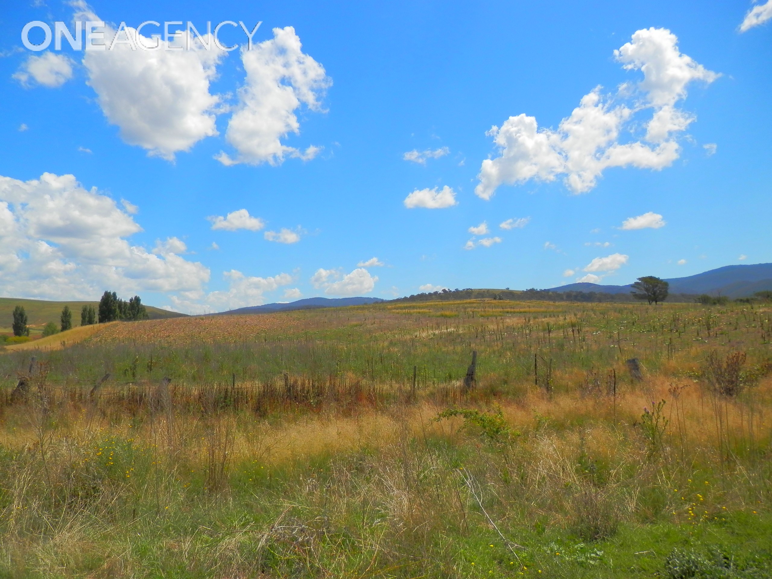 LOTS 145 TO148 BUNYAN STREET, BREDBO, 2626