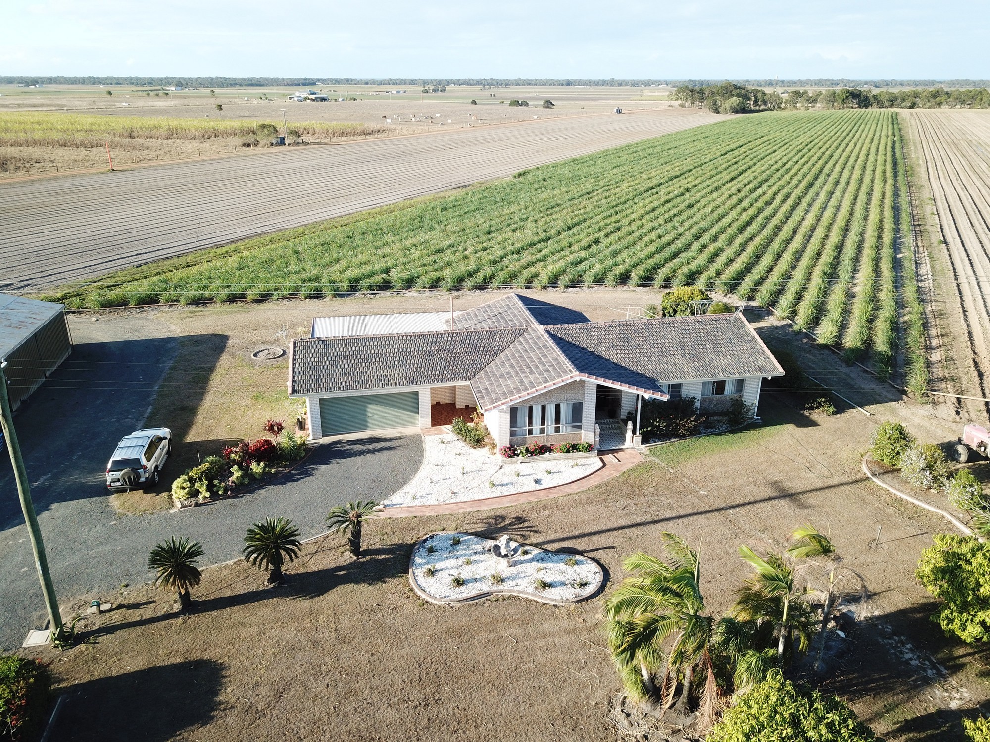 344 BOOYAN RD, MOORE PARK BEACH, 4670