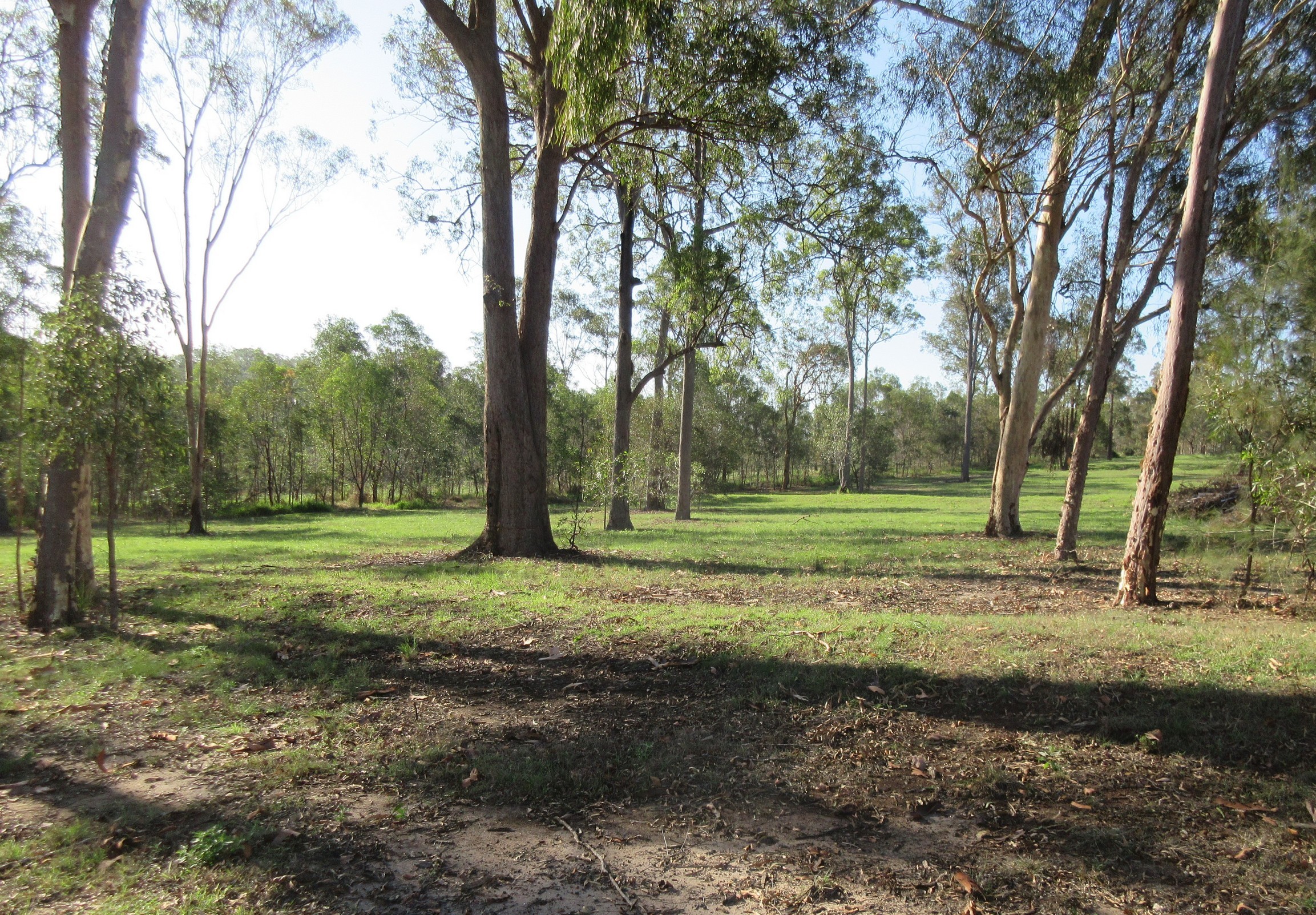 60 BREEN CT, MCILWRAITH, 4671