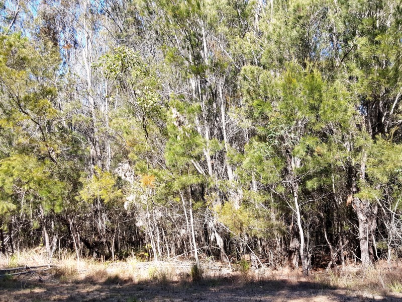 44 SEAWARD DRIVE, RUSSELL ISLAND, 4184