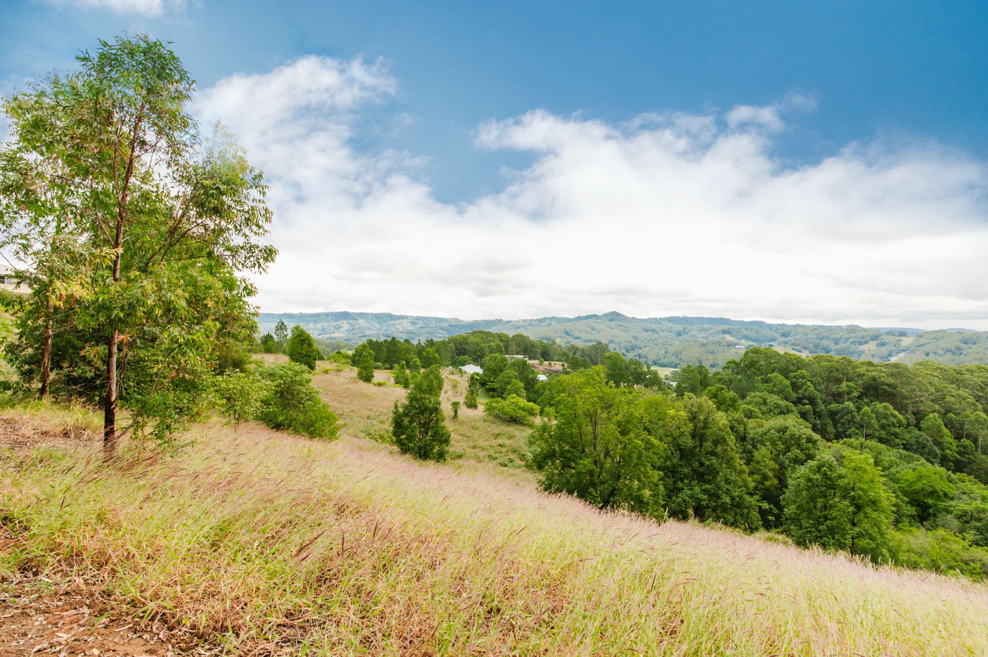 L6 59-73 PARSONS KNOB ROAD SOUTH, HUNCHY, 4555 L6 59-73 PARSONS KNOB ROAD SOUTH, HUNCHY, 4555