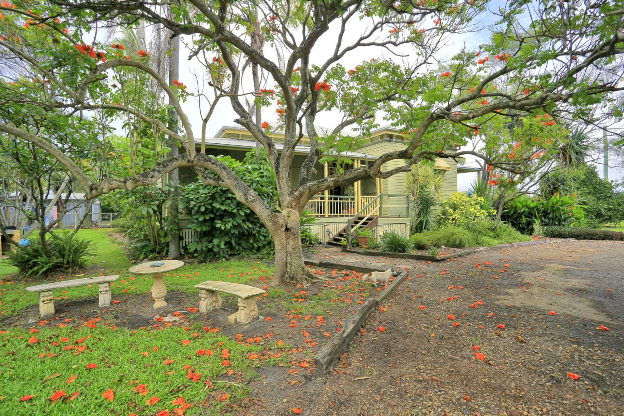 56 TARRANTS ROAD, CALAVOS, 4670