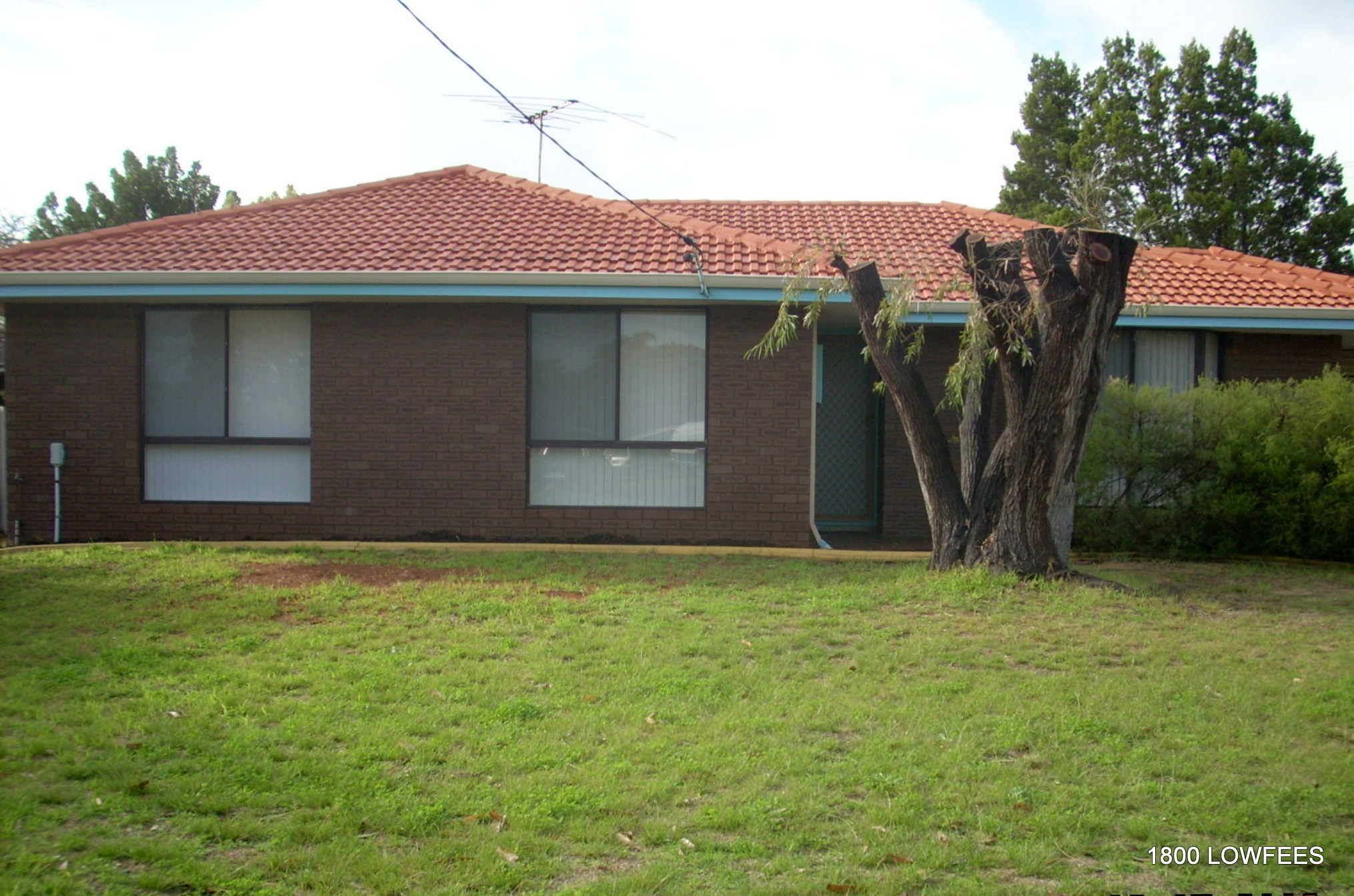 6 ARGO CT, CRAIGIE, 6025