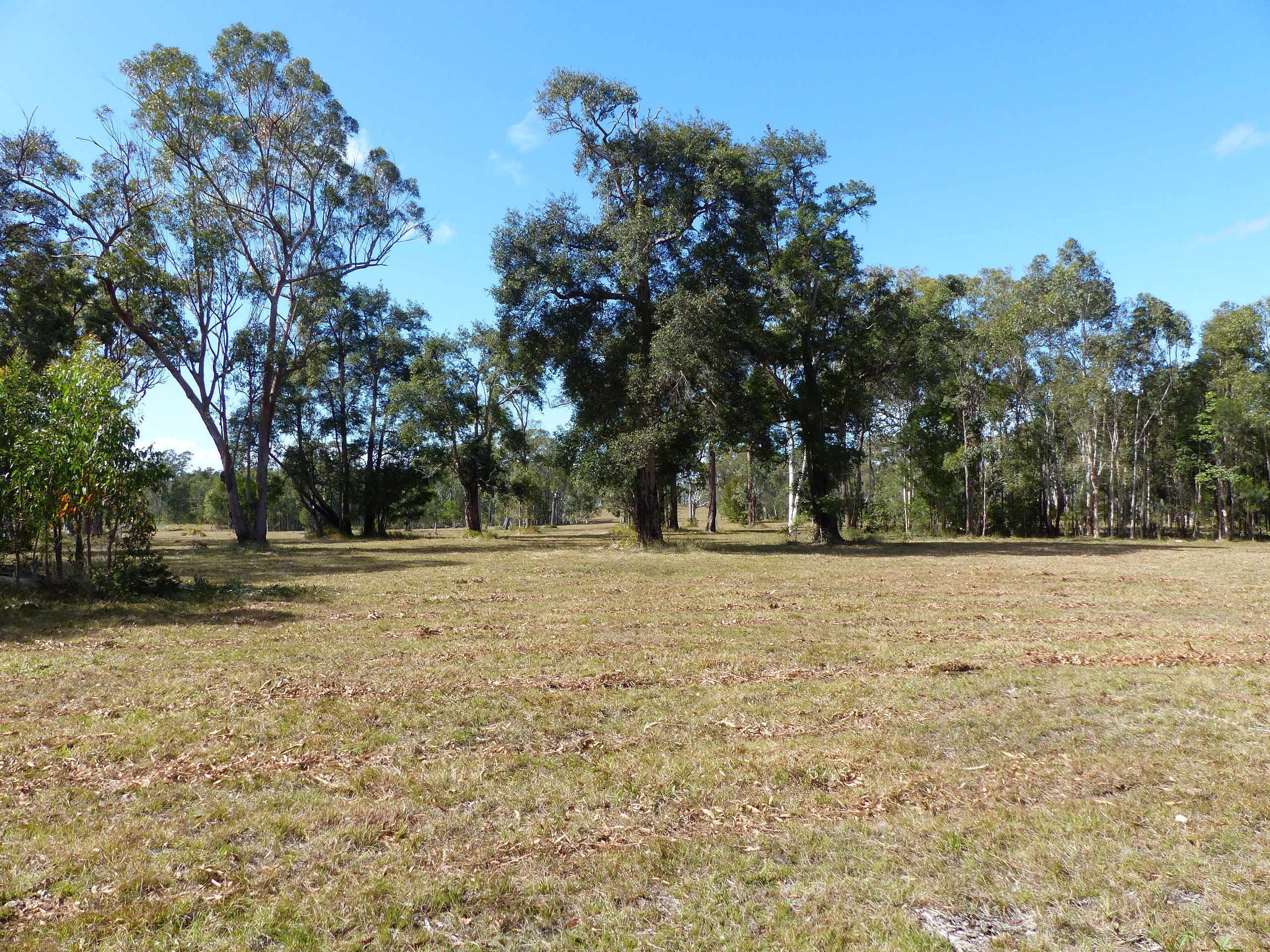 LOT 17 CREAM BOX CT, RINGTAIL CREEK, 4565