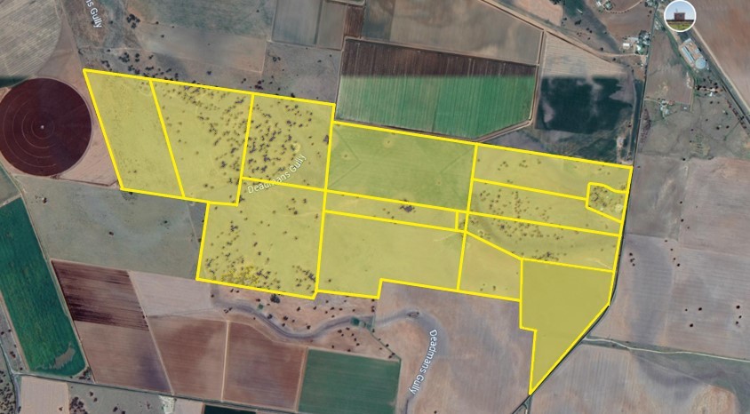 475 GOOLHI RD, EMERALD HILL, 2380