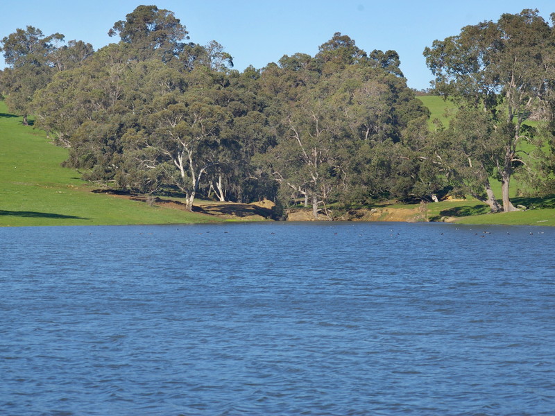 A / 11 WHITE ROAD, NANNUP, 6275