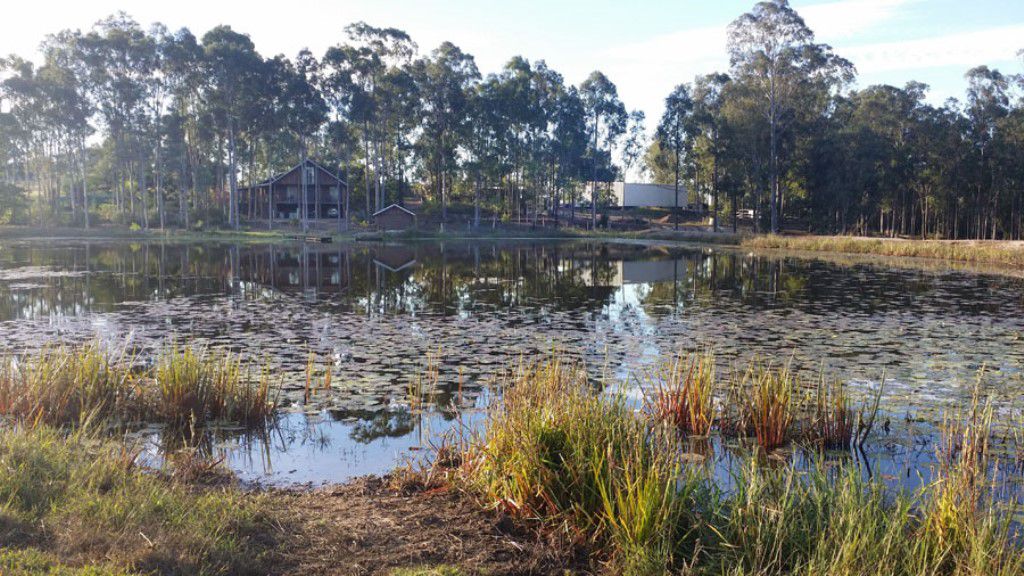 100 WILSONS ROAD, TIARO, 4650