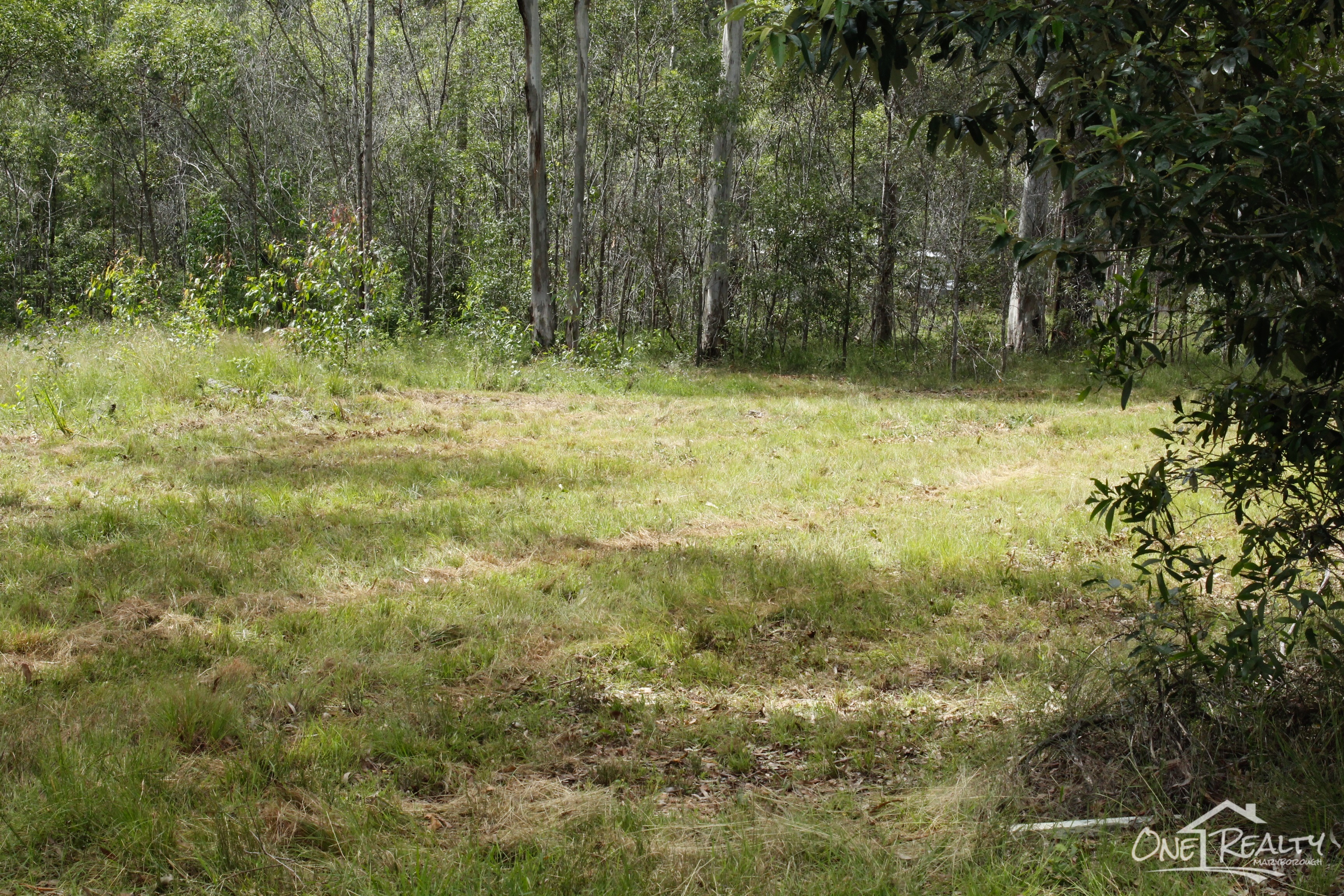 LOT 179 DANIEL RD, BAUPLE, 4650