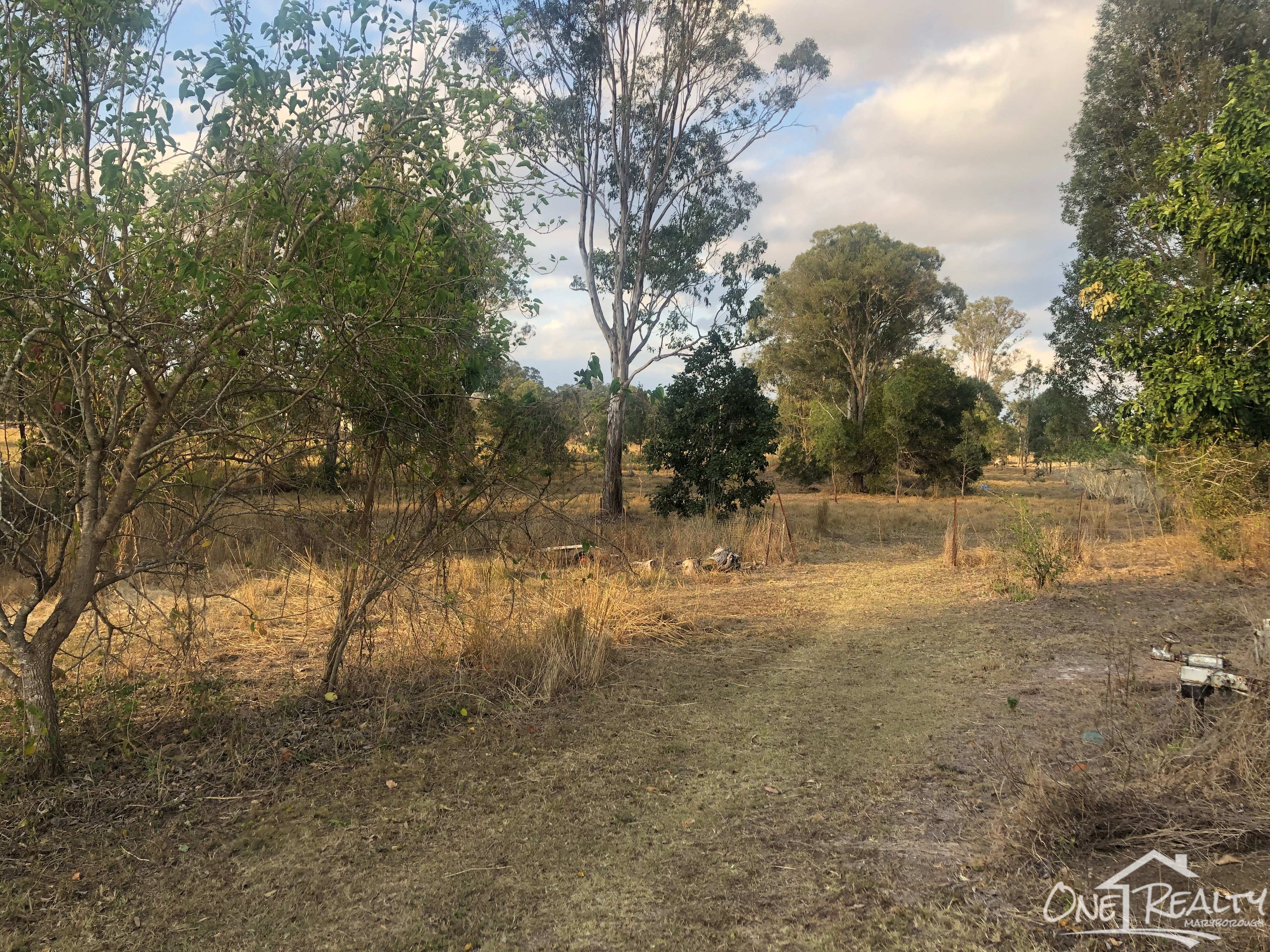197 KOORINGA RD, TIARO, 4650