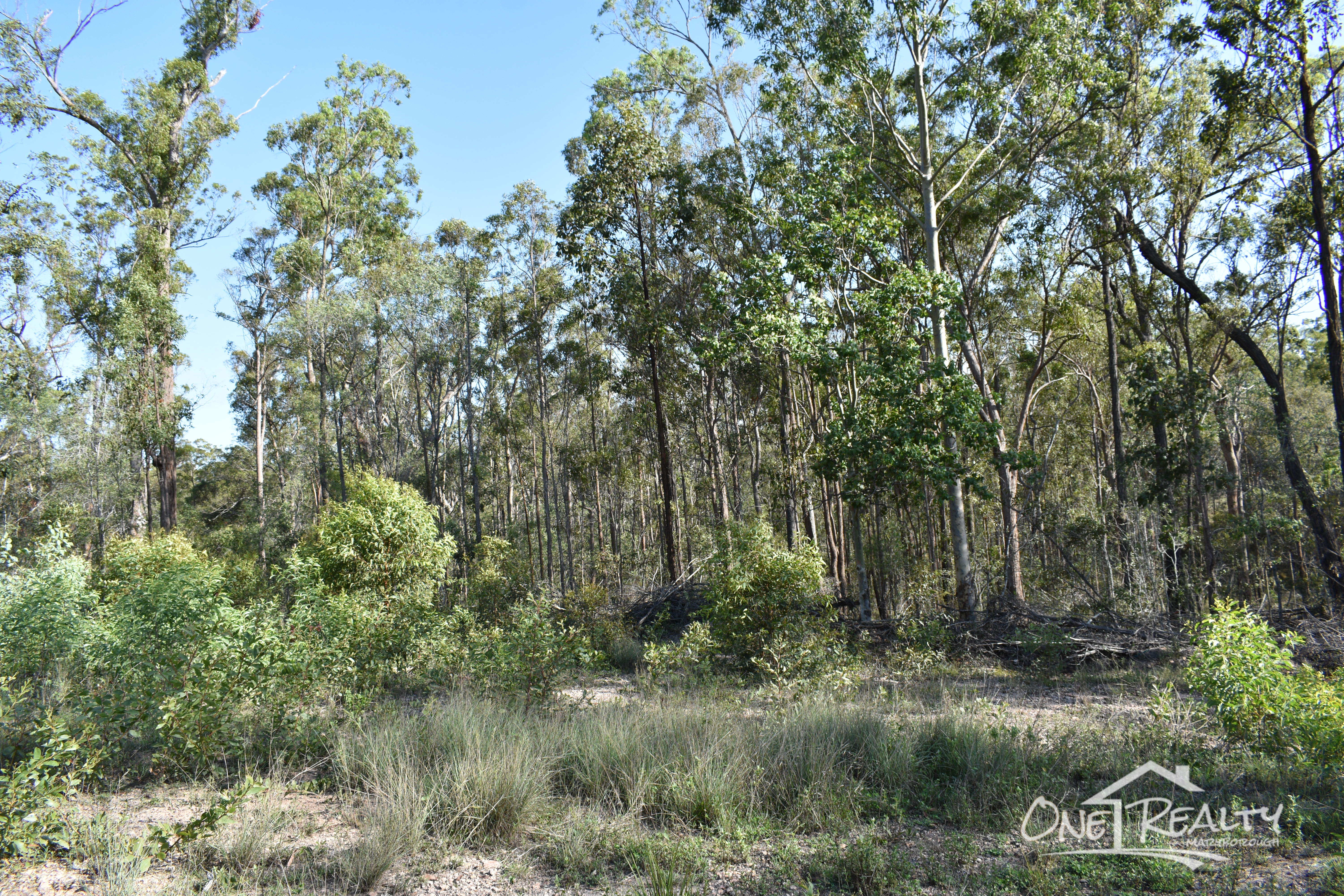 LOT 1 BIGGENDEN  CONNECTION RD, DUNMORA, 4650